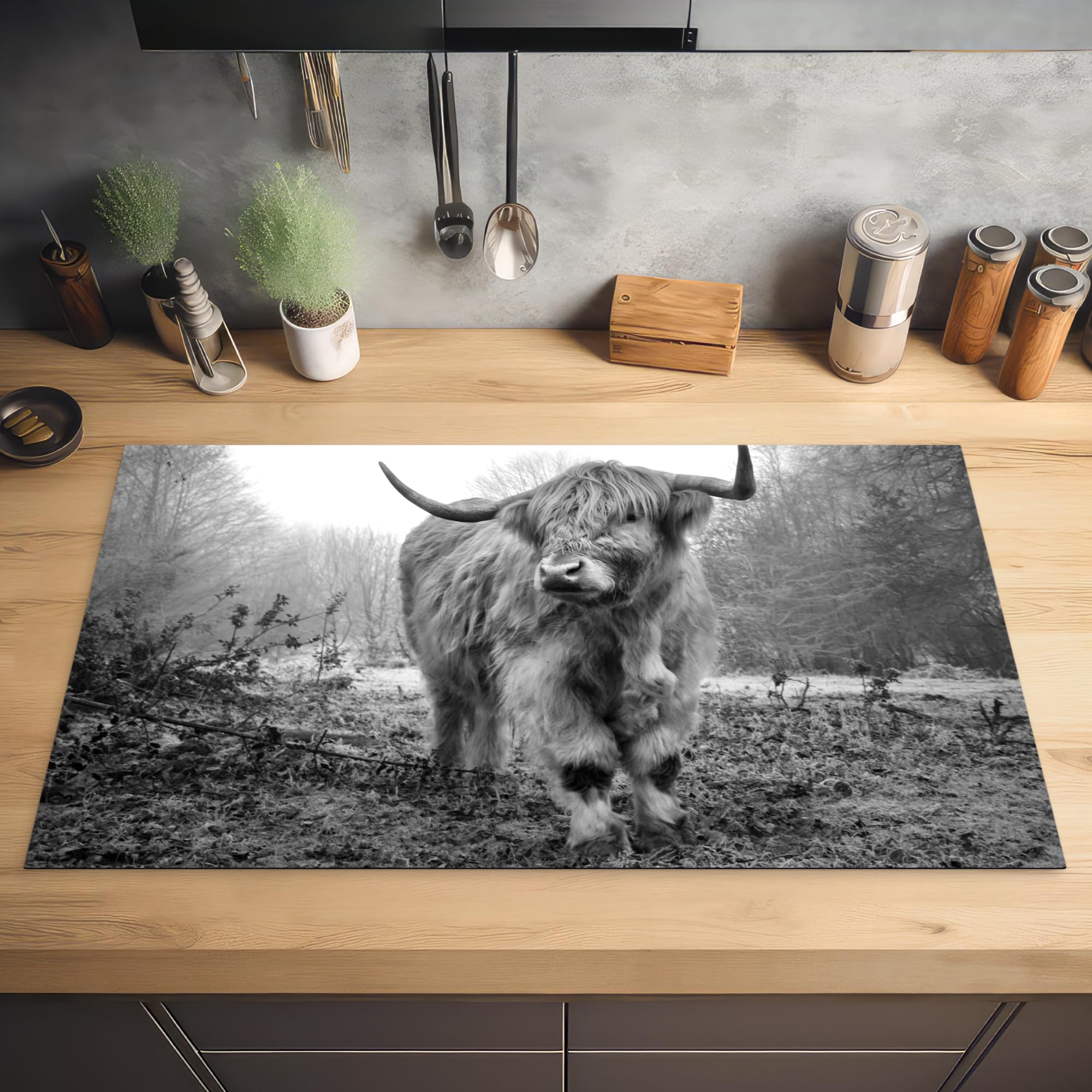 Schotse Hooglander - Inductie beschermers