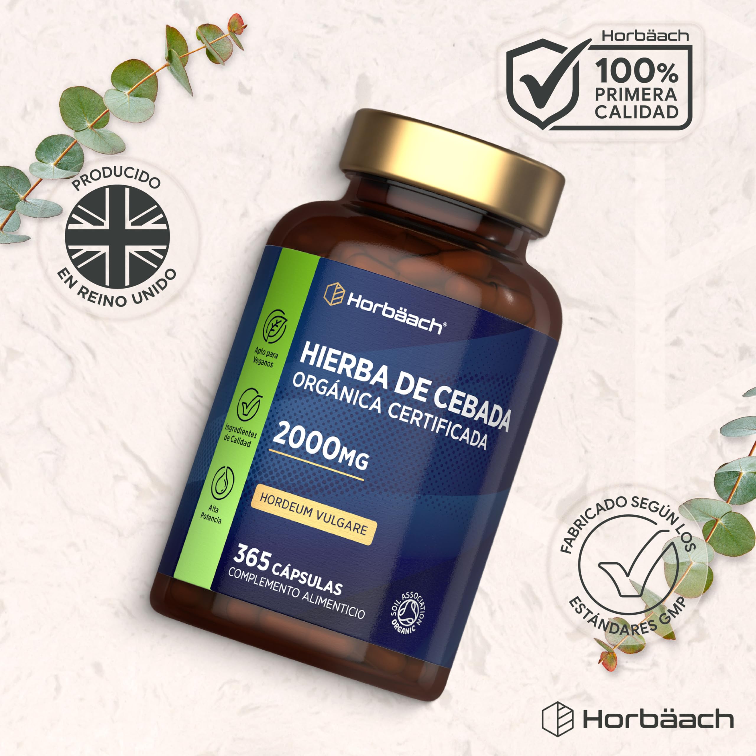 Cebada Cápsulas Bio 2000mg | Cebada en Polvo Encapsulada | 365 Cápsulas Veganas Orgánicas | con Certificado Orgánico | Organic Barley Grass | Horbaach