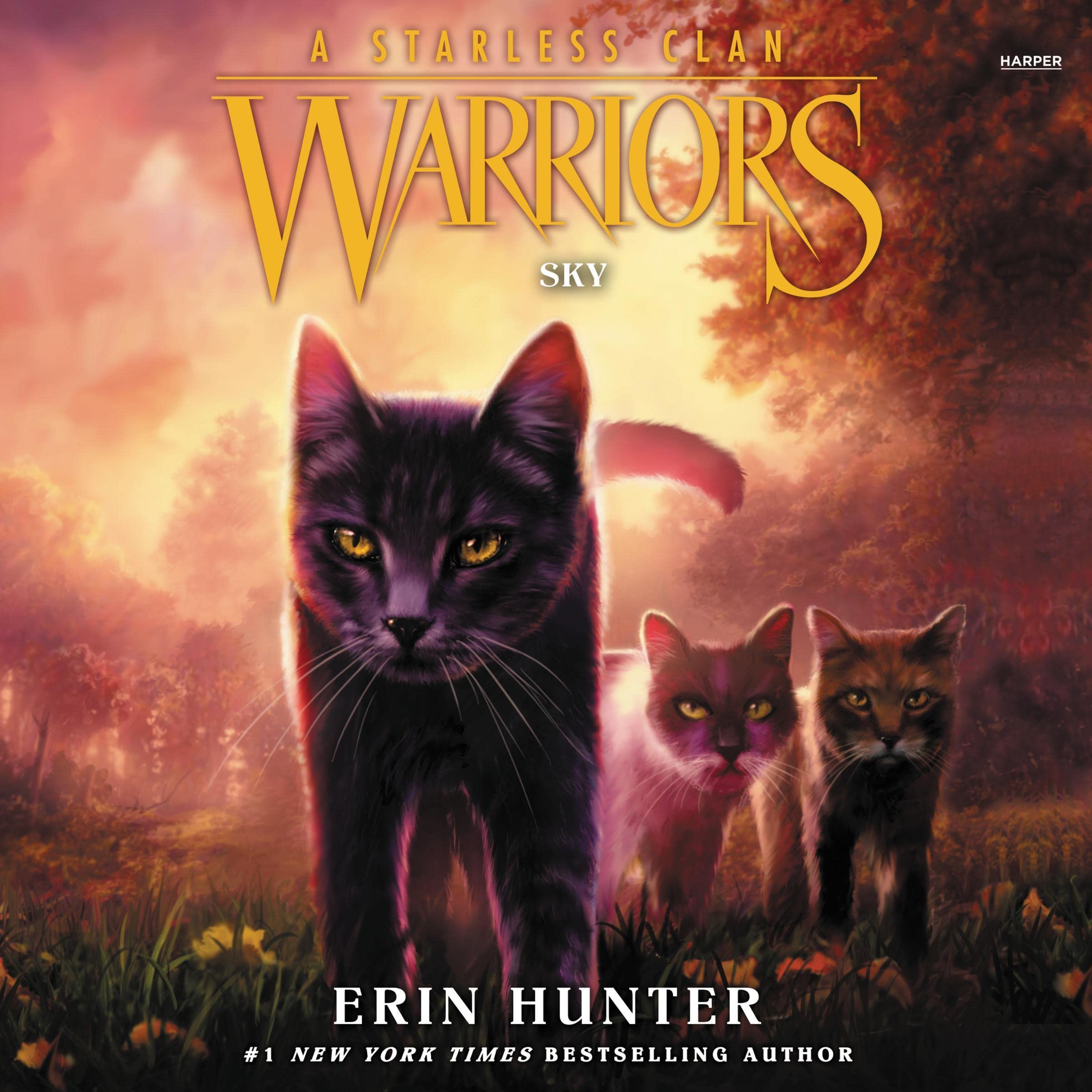 Cover art for Warriors: A Starless Clan #2: Sky