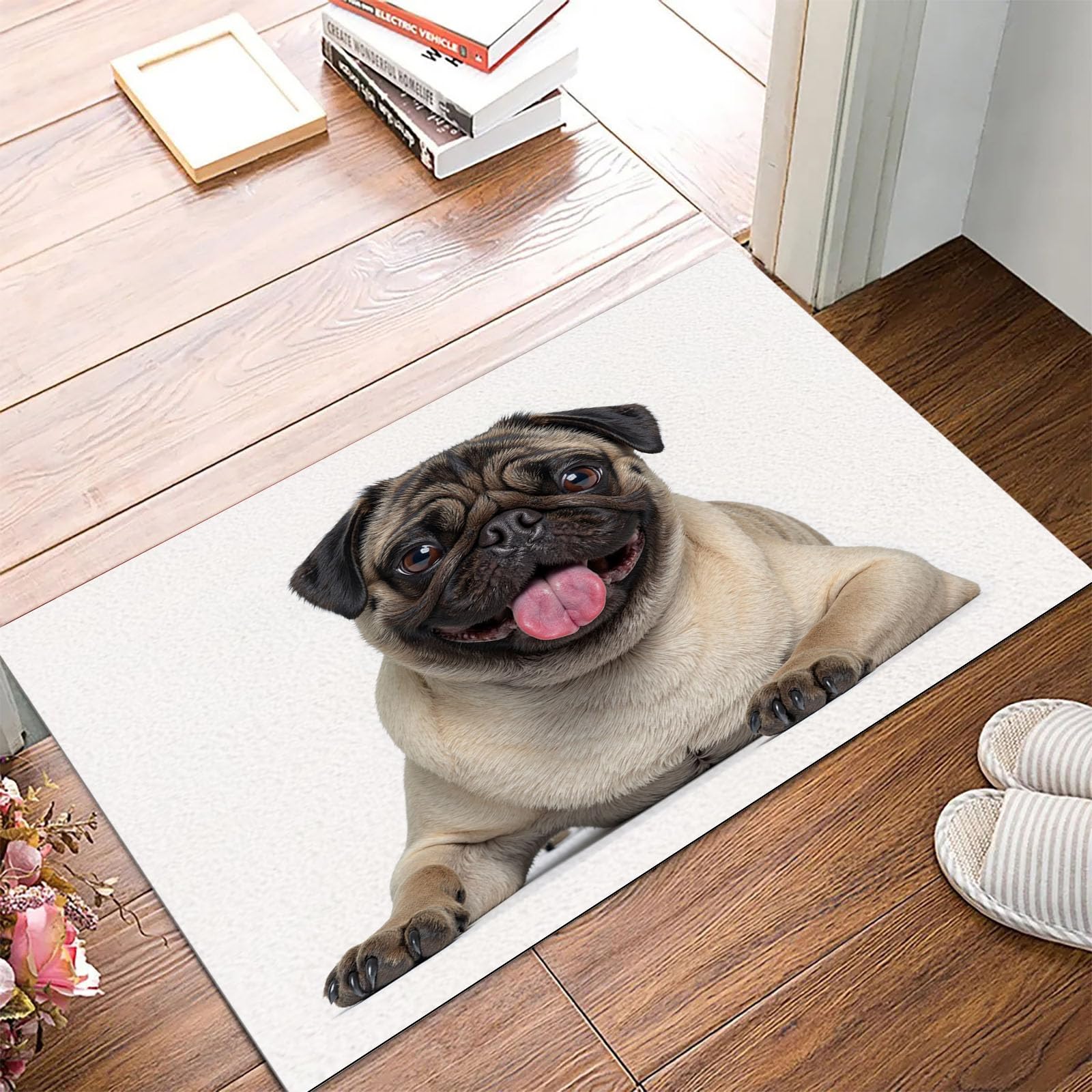 Tapis entree interieur 50x80cm paillasson fin et antiderapant