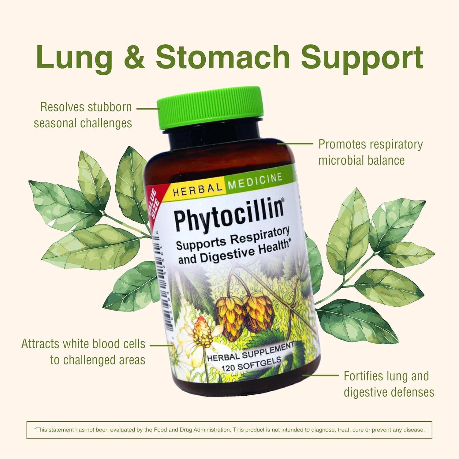 Herbs Etc. Phytocillin - Respiratory & Digestive Health Support Supplement - Herbal Formula to Support Digestion - Support Healthy Breathing - 120 Softgels (120 Servings)