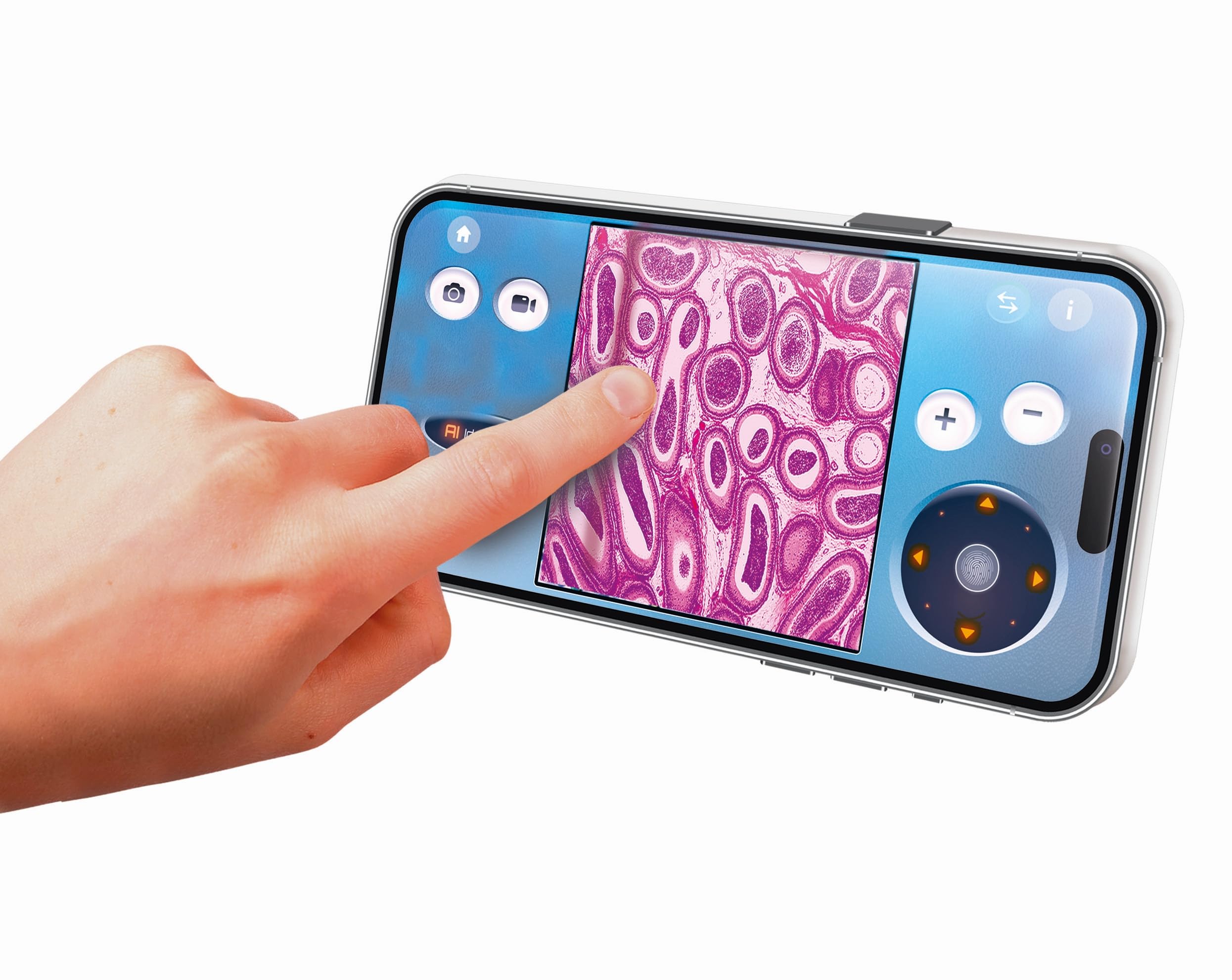 Galileo Lab Mein digitales Mikroskop - 2-in-1 Mikroskop digital & analog mit WiFi-Kamera, App & Zubehör - Für Kinder ab 8 Jahren - 59463 von Clementoni