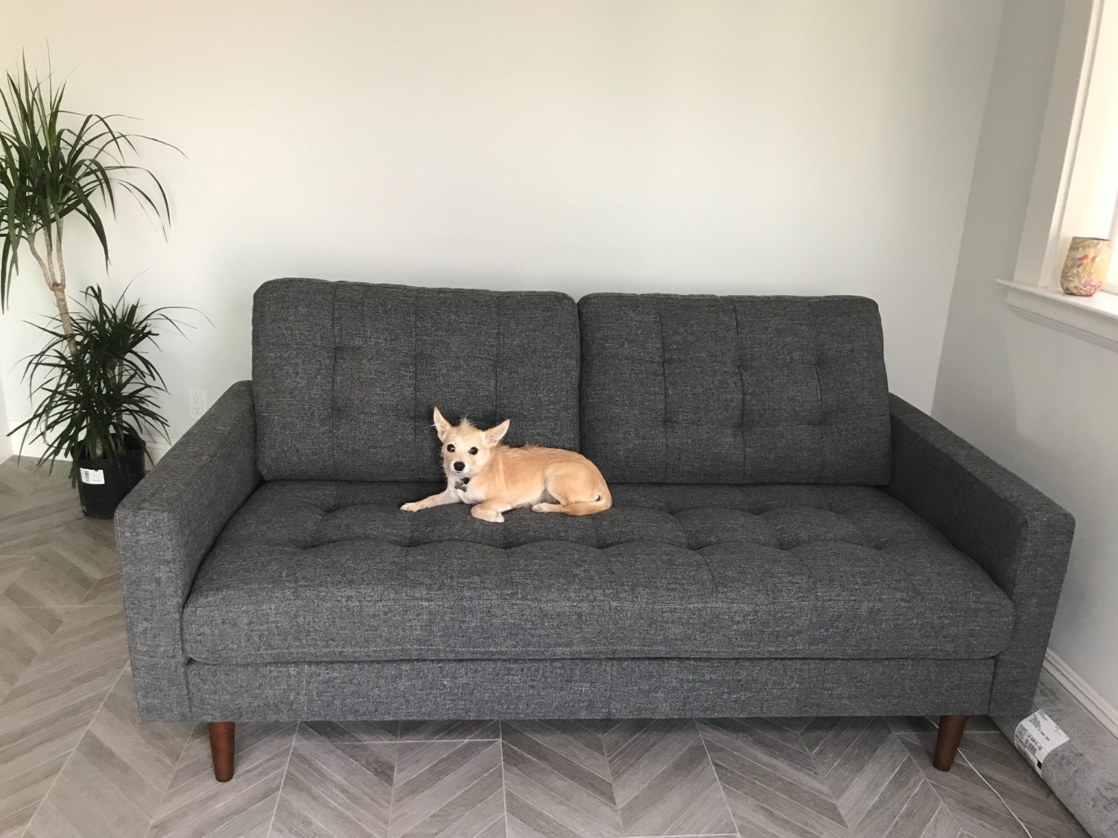 73/mo Finance Amazon Brand Rivet Cove MidCentury Modern Tufted