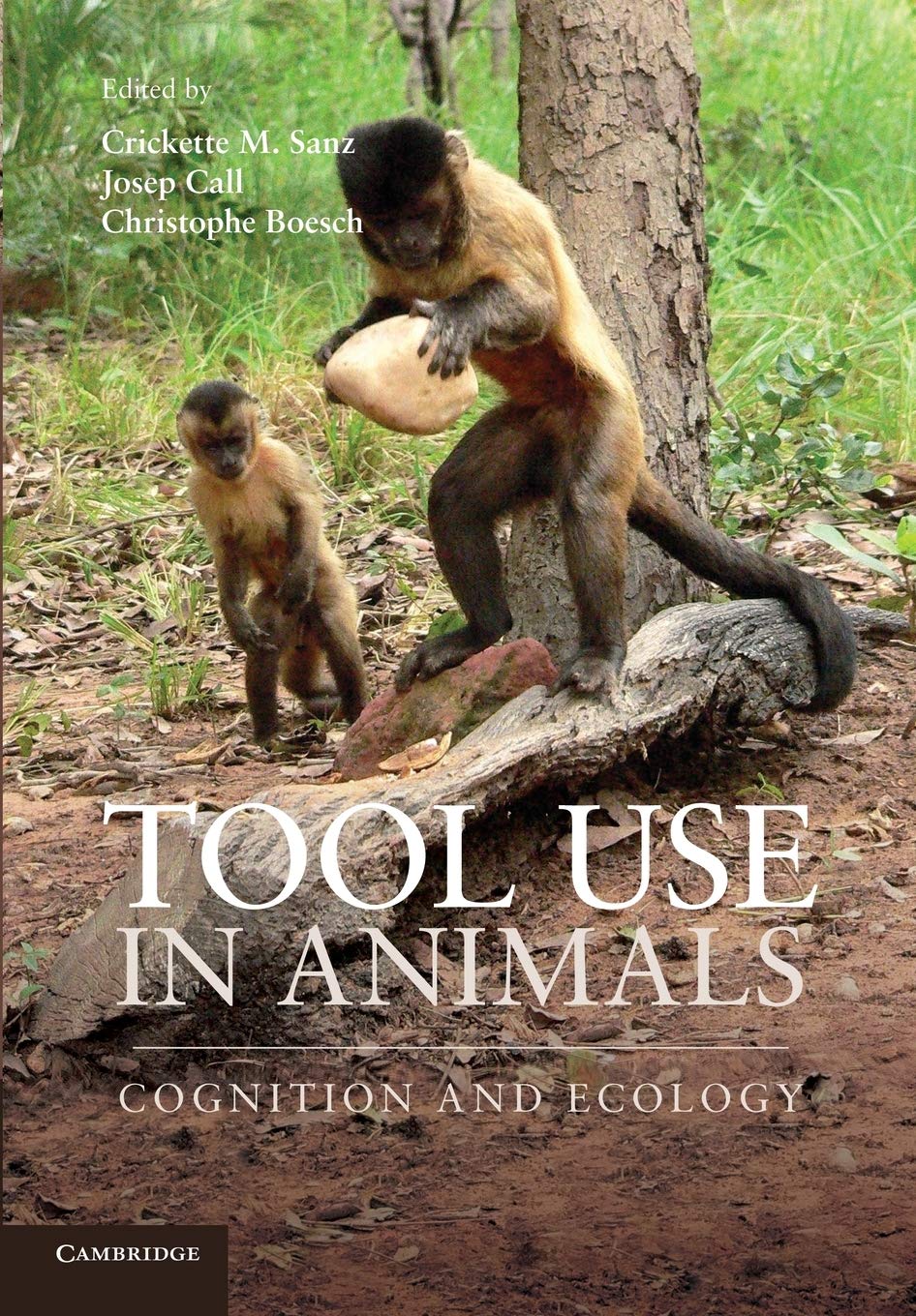 Tool Use in Animals by Crickette M. Sanz, Josep Call, Christo... - 9781107657434