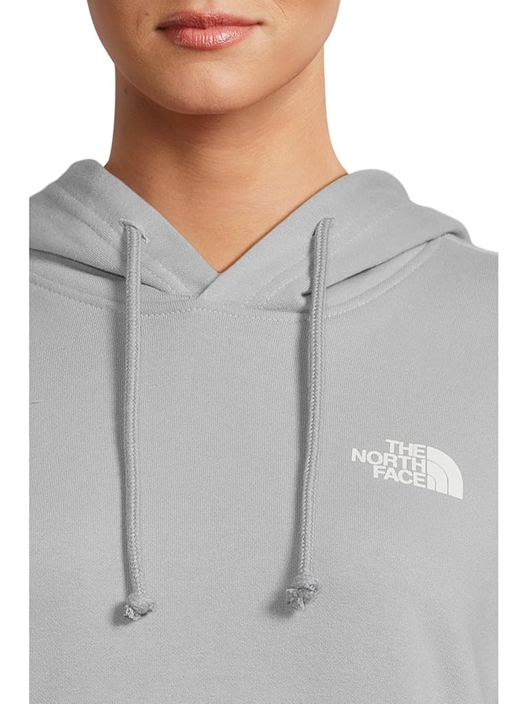 Gray The North Face Evolution Box NSE Hoodie