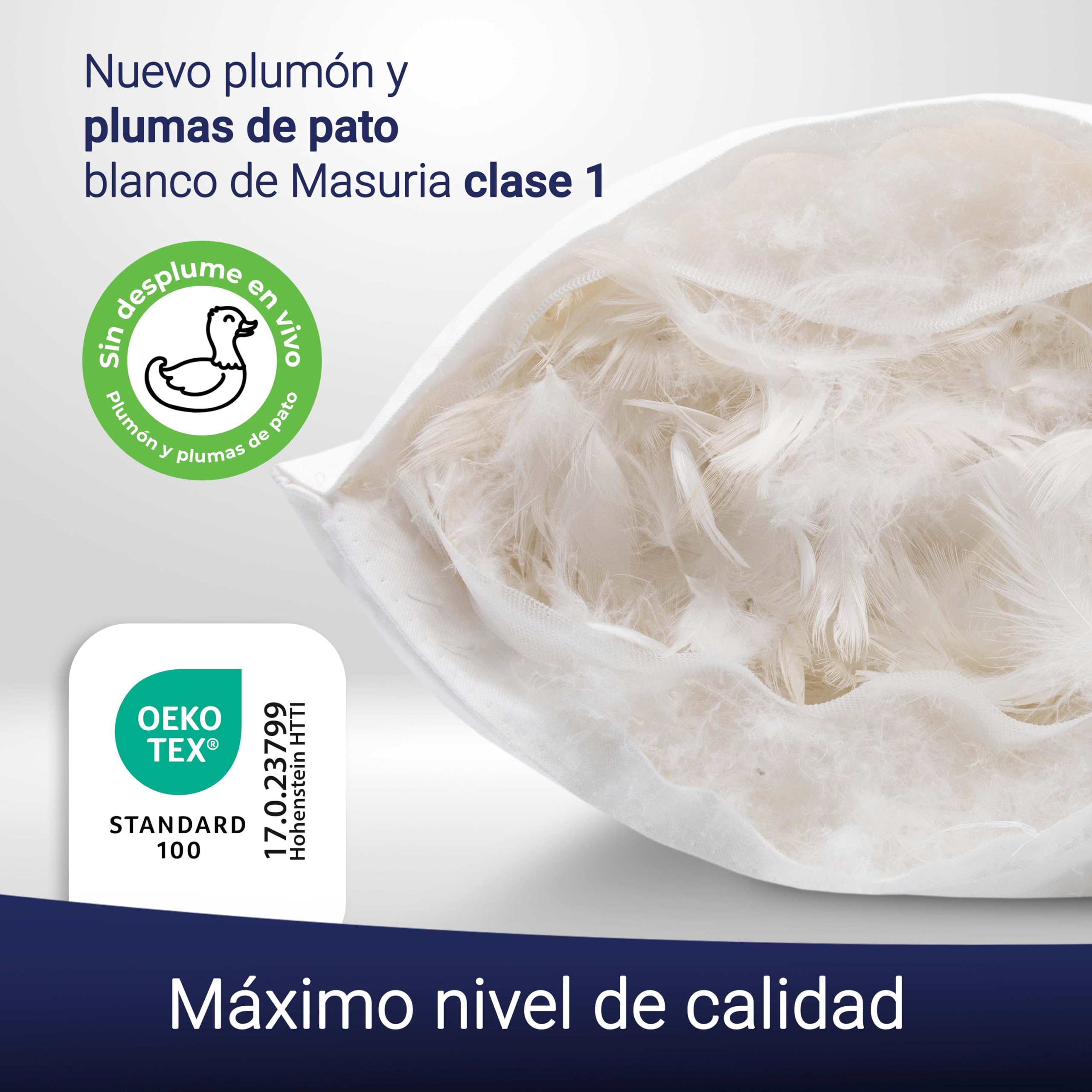 ZOLLNER Almohada de Plumas Premium con Contenido de plumón - Made in Germany - Apta para alérgicos - Funda de algodón Mako Lavable hasta 60°C - 40x40 cm - Calidad hotelera