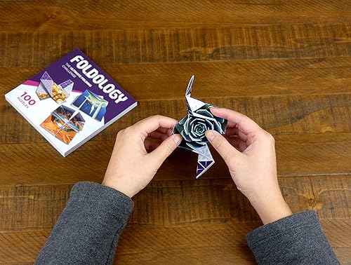 Miniatura 2 de Foldology - Juego de rompecabezas de origami  Pruebas de ingenio prácticos para niños adolescentes y adultos  100 desafíos