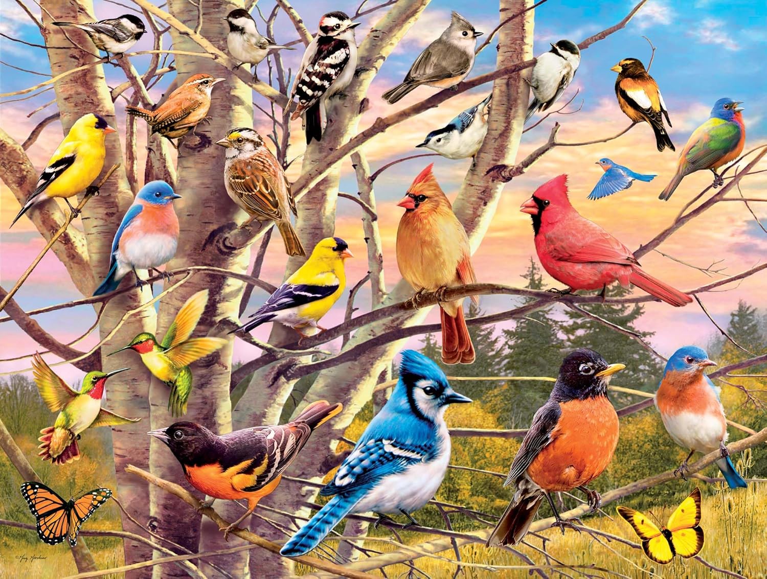 Crown Point Graphics Colorful Landscape 500 Jigsaw Piece Puzzle, Soft Touch Design, Made in USA