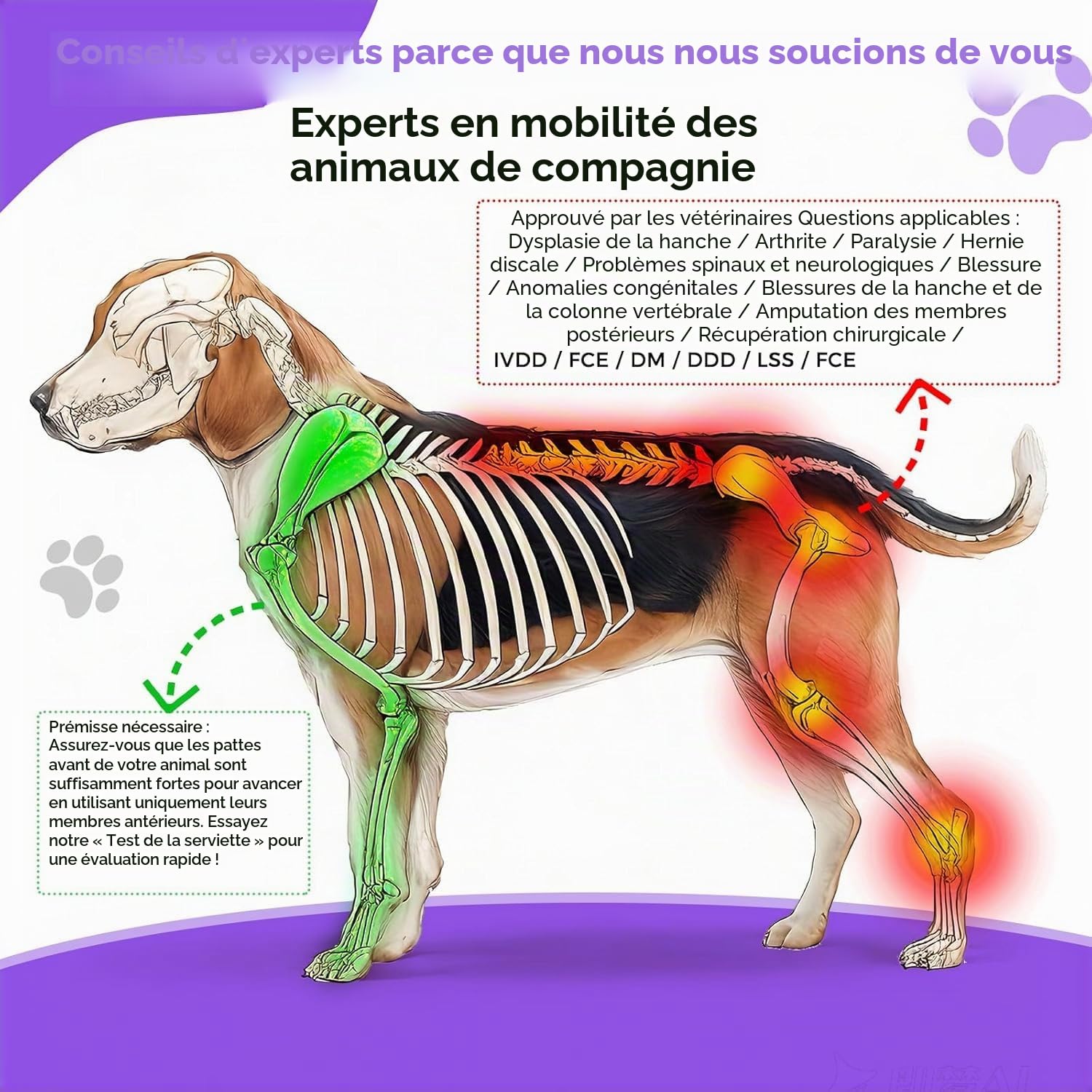 Fauteuil roulant pour chien pour pattes arrière - Fauteuil roulant pour chien