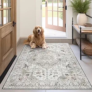 Madane Area Rug 3x5, Entryway Washable Printed Vintage Kitchen Carpet Non Slip Indoor Doormat for Living Room Laundry Room Bedroom Nursery Soft Thin Entry Floor Mat, Ivory/Brown