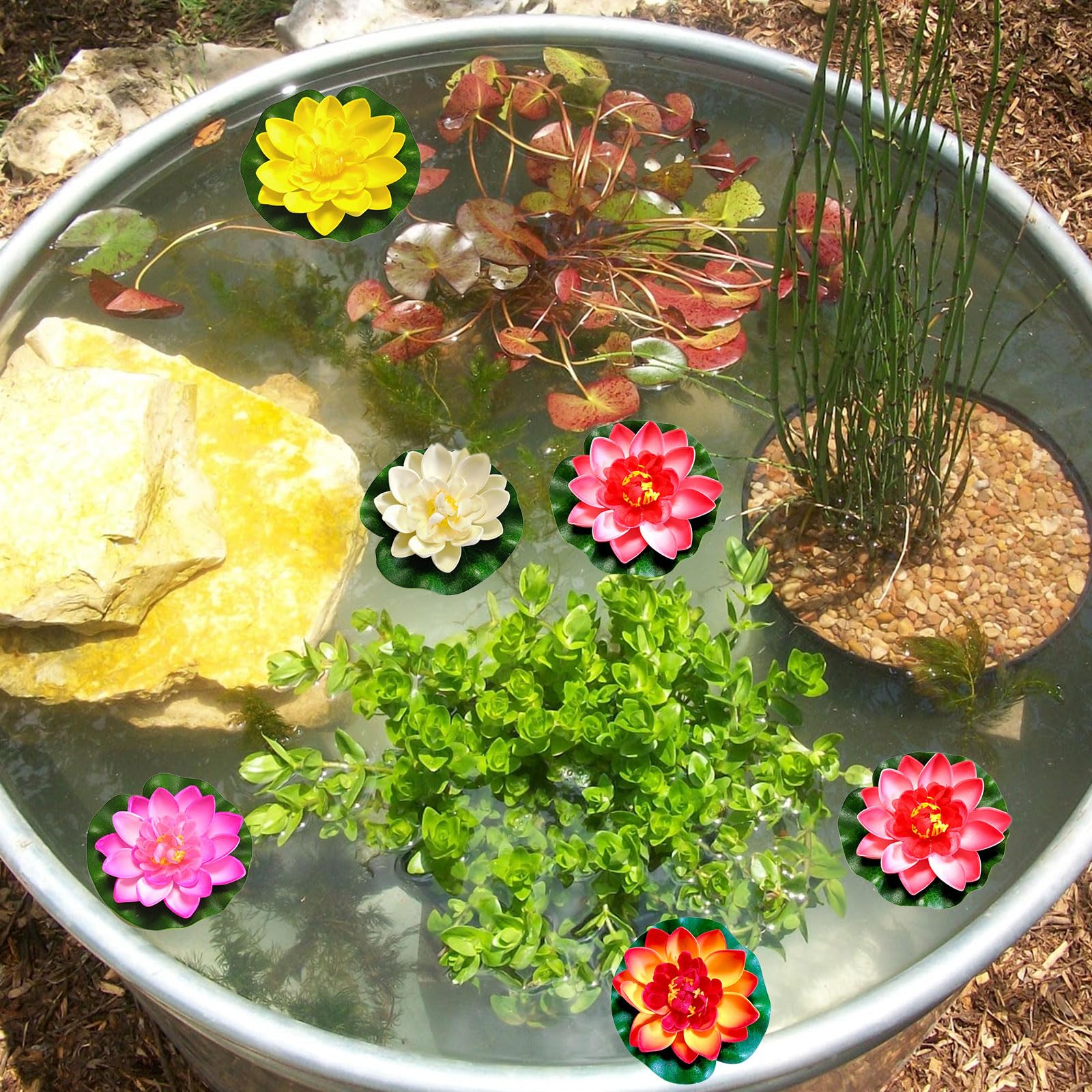 QINGYIWL 11 Stck Schwimmende Blumen Knstliche Seerosen, Teichpflanzen  Knstlich, Wasserlilie Pflanzen 10cm, Seerose Lotusblte fr Aquarium  Terrasse Garten Teich (Bunt) : Amazon.de: Kche, Haushalt & Wohnen