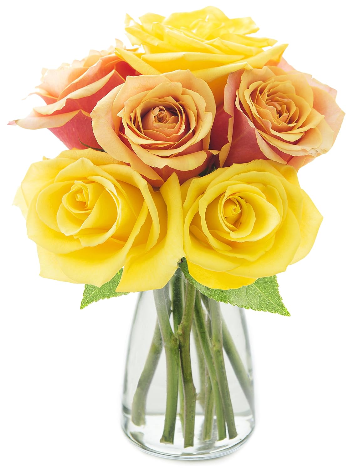 Blooms2Door PRIME NEXT DAY DELIVERY - Fall Collection - Bouquet of 6 Orange and Yellow Roses with Vase.Gift for Birthday, Sympathy, Anniversary, Thank You, Valentine, Mother’s Day Fresh Flowers