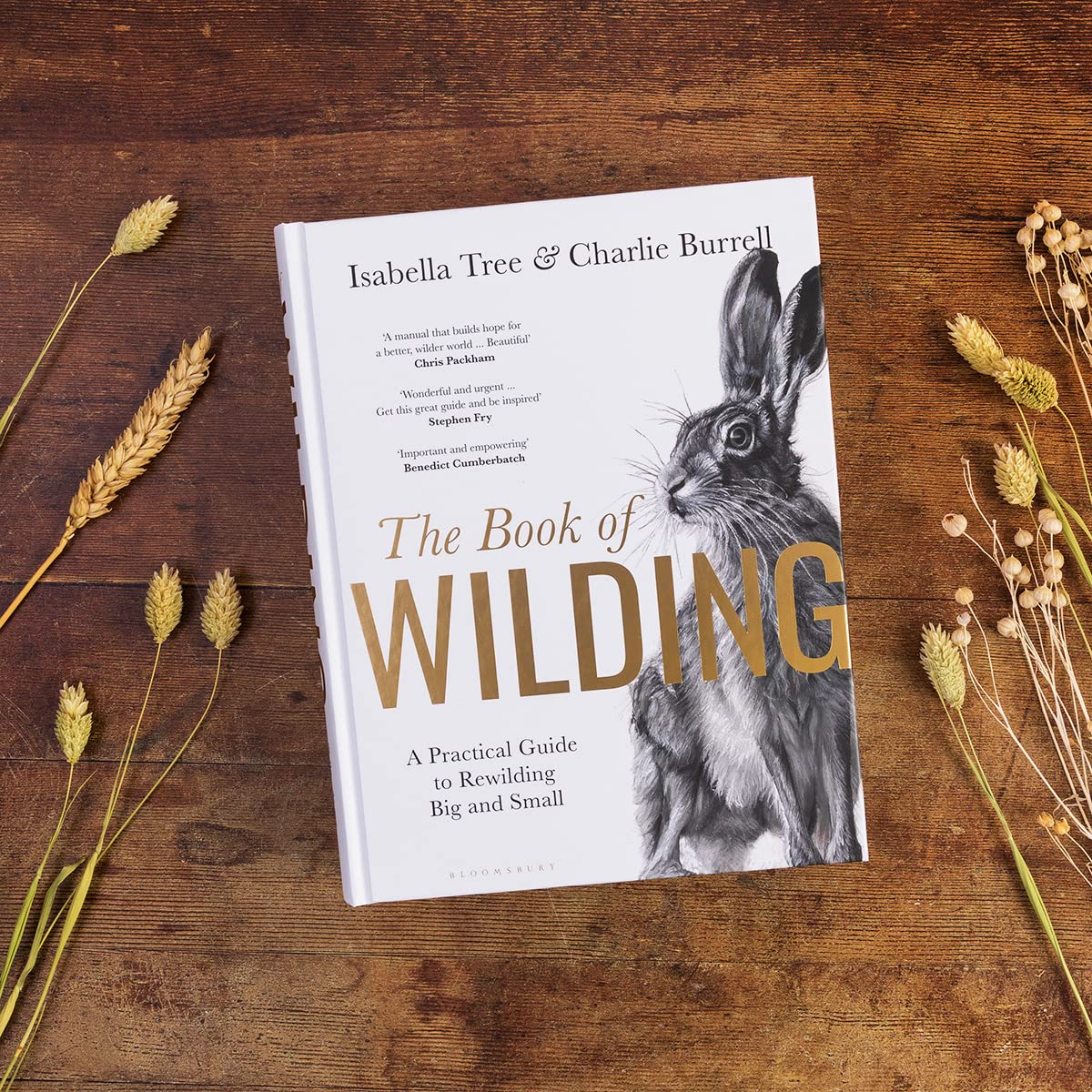 The Book of Wilding: A Practical Guide to Rewilding, Big and Small - Image 9