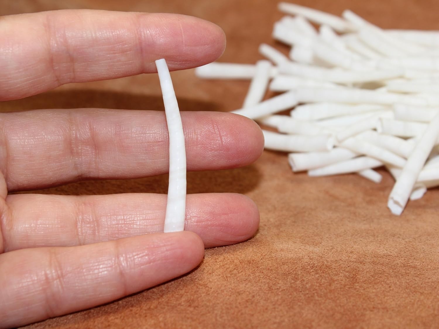 1oz Smooth Dentalium Shells (1" to to1.75 inches), White