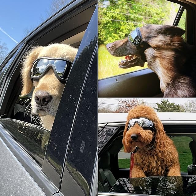 Foto 6 de 8 de NAMSAN Gafas de Sol para Perros de tamaño Mediano a Grande, con protección UV, Resistentes al Viento