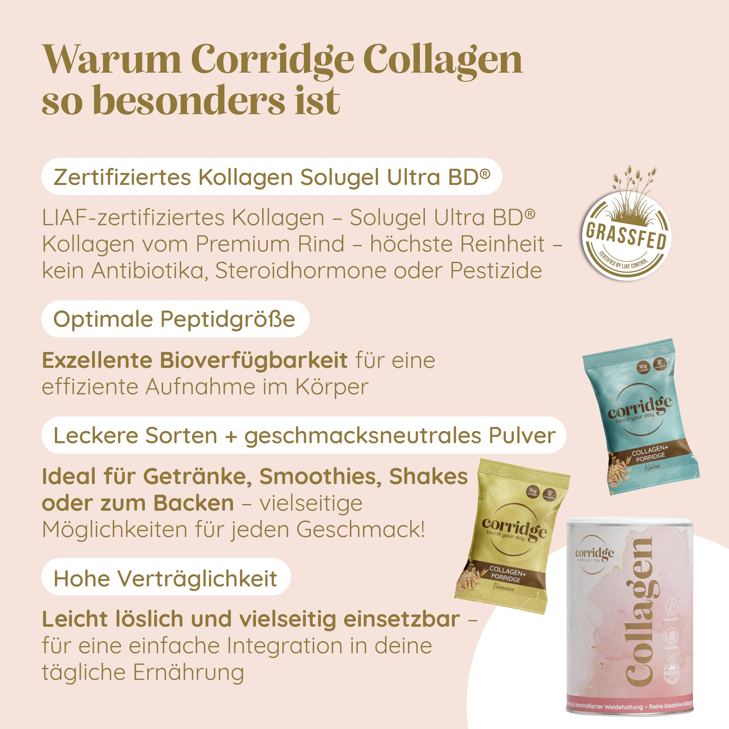 Probierpaket High Protein Porridge & Collagen Pulver - Haferflocken mit Kokos & Bananengeschmack - Bioaktives Collagenpulver leicht löslich - Typ I & III Kollagen für Haut Haare & Gelenke