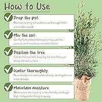 Vista 7 de Soil Sunrise Mezcla de tierra para macetas de olivo (8 cuartos de galón) para plantar, trasplantar y cultivar arbustos/plantas de olivo