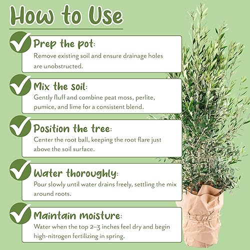 Miniatura 7 de Mezcla de tierra para macetas de olivo (12 cuartos de galón), para plantar, trasplantar y cultivar arbustosplantas de olivo