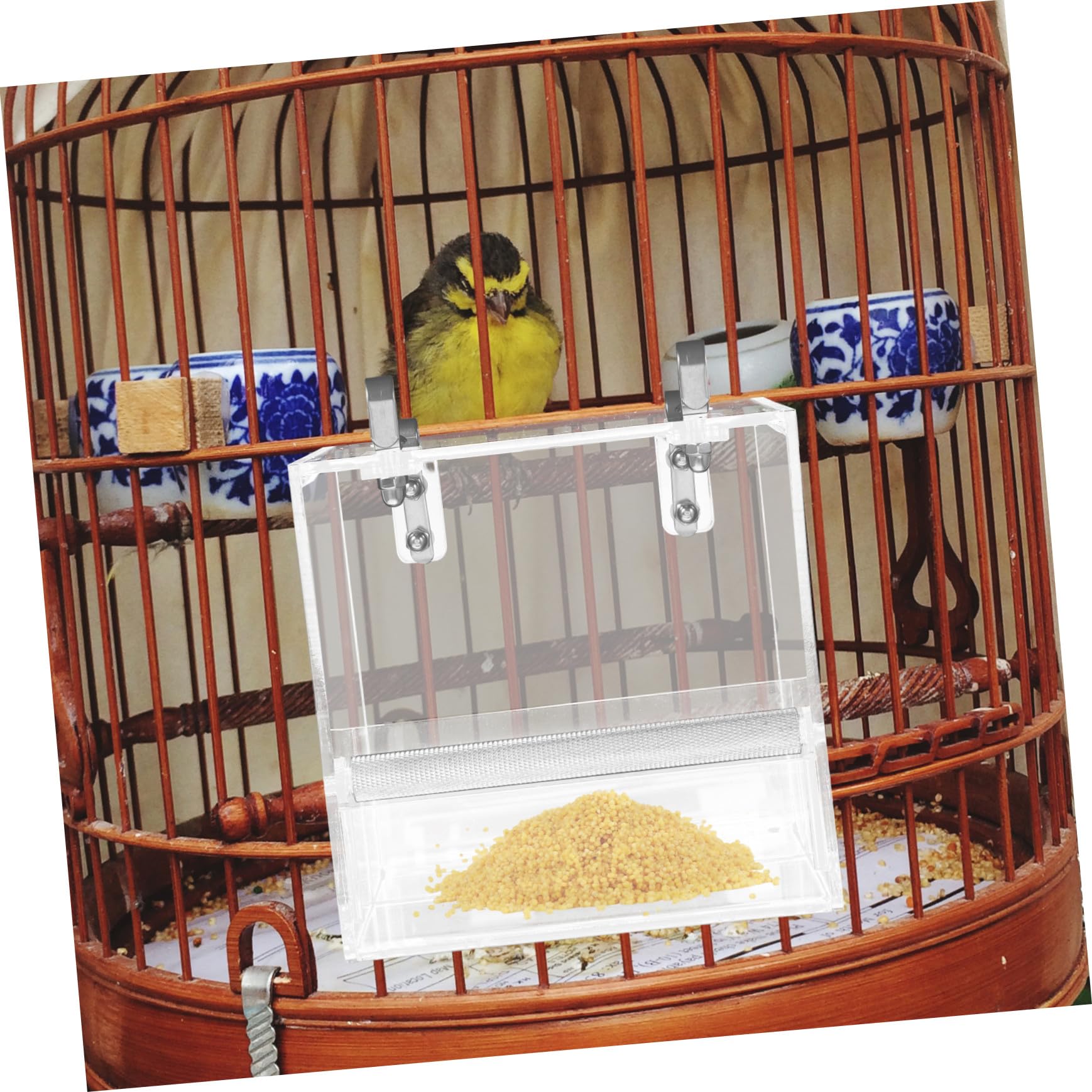 Mangeoire à Oiseaux Automatique Suspendue Plastique Perroquet