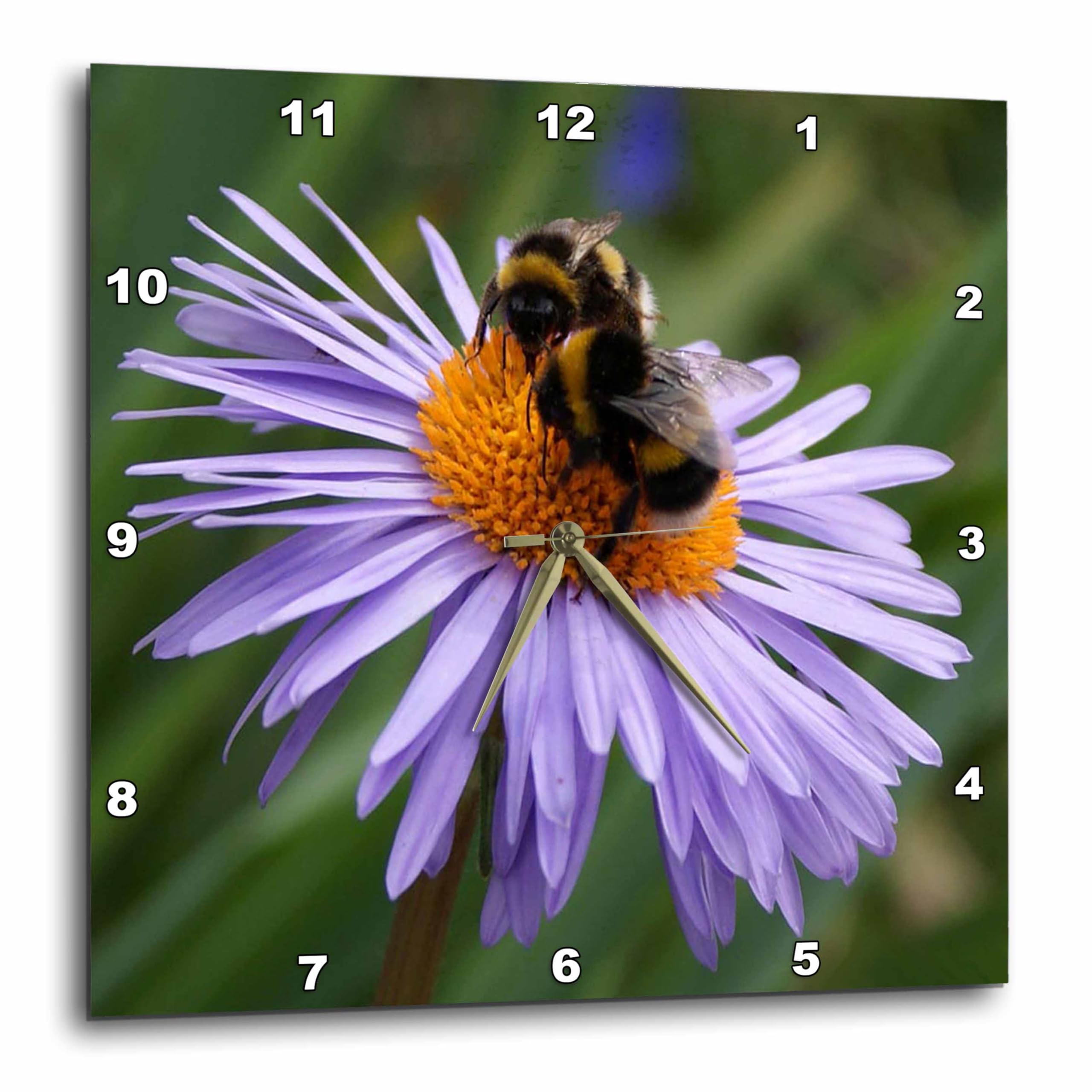 3dRose DPP_12968_3 Light Purple Flower with Bee Wall Clock, 15 by 15-Inch