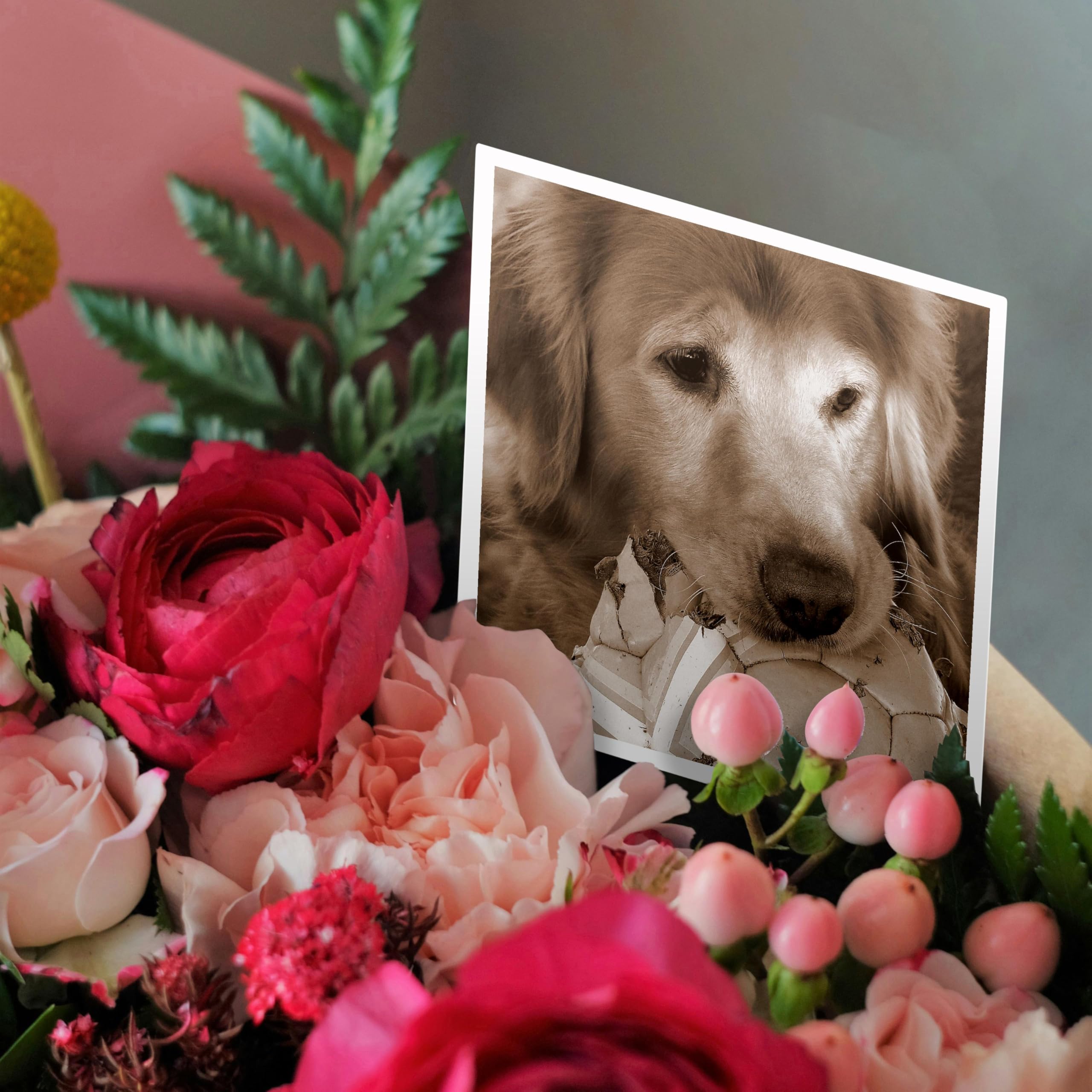 3dRose Gartenflagge Golden Retriever – 30,5 X 45,7 Cm, Polyester | Halbtransparent, Einseitig Bedruckt