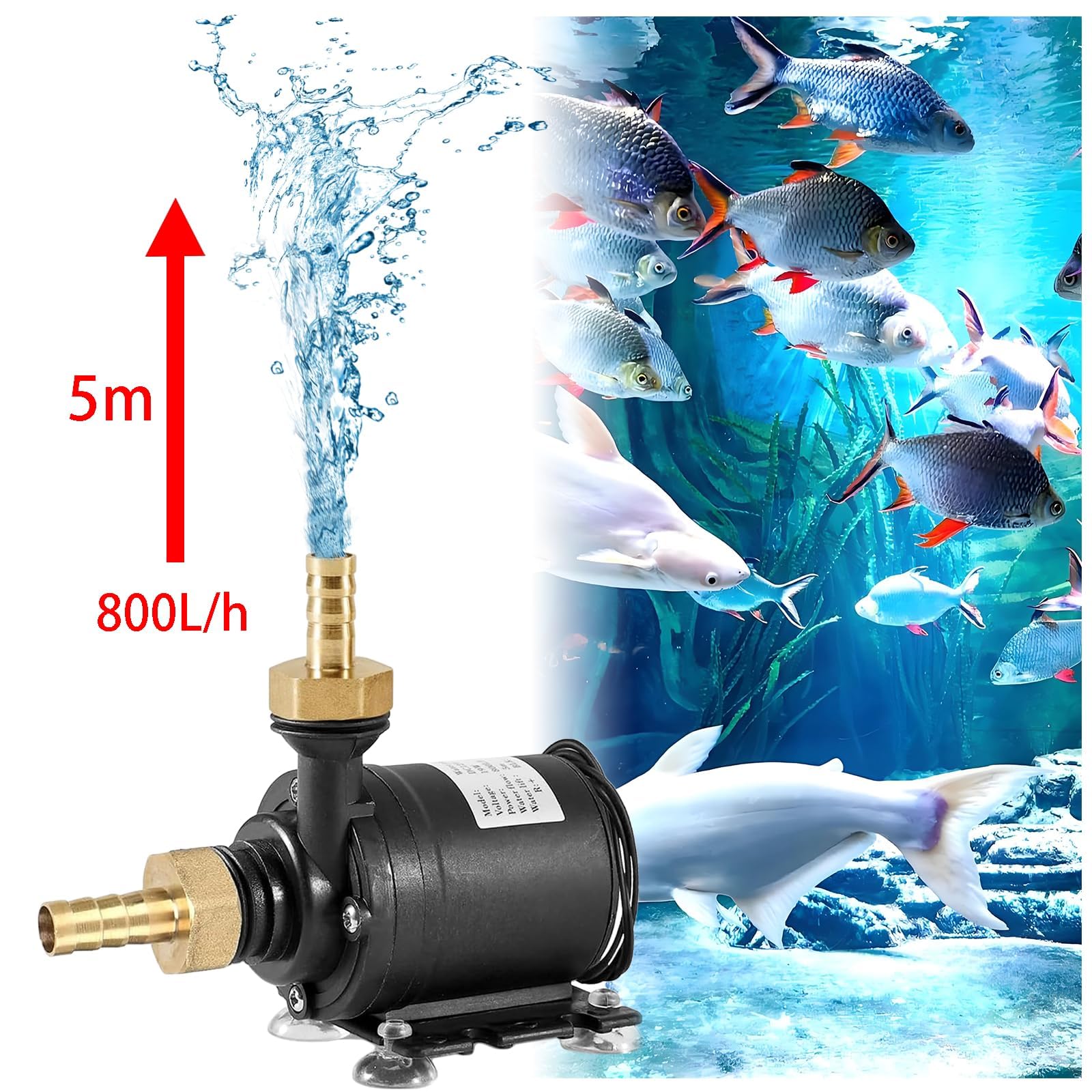 Pompe à Eau Submersible sans Balai, DC 12V Pompe a Eau, 800L/H 5m Mini Pompe à Eau Submersible, Pompe Pour bassin, aquarium, fontaine solaire