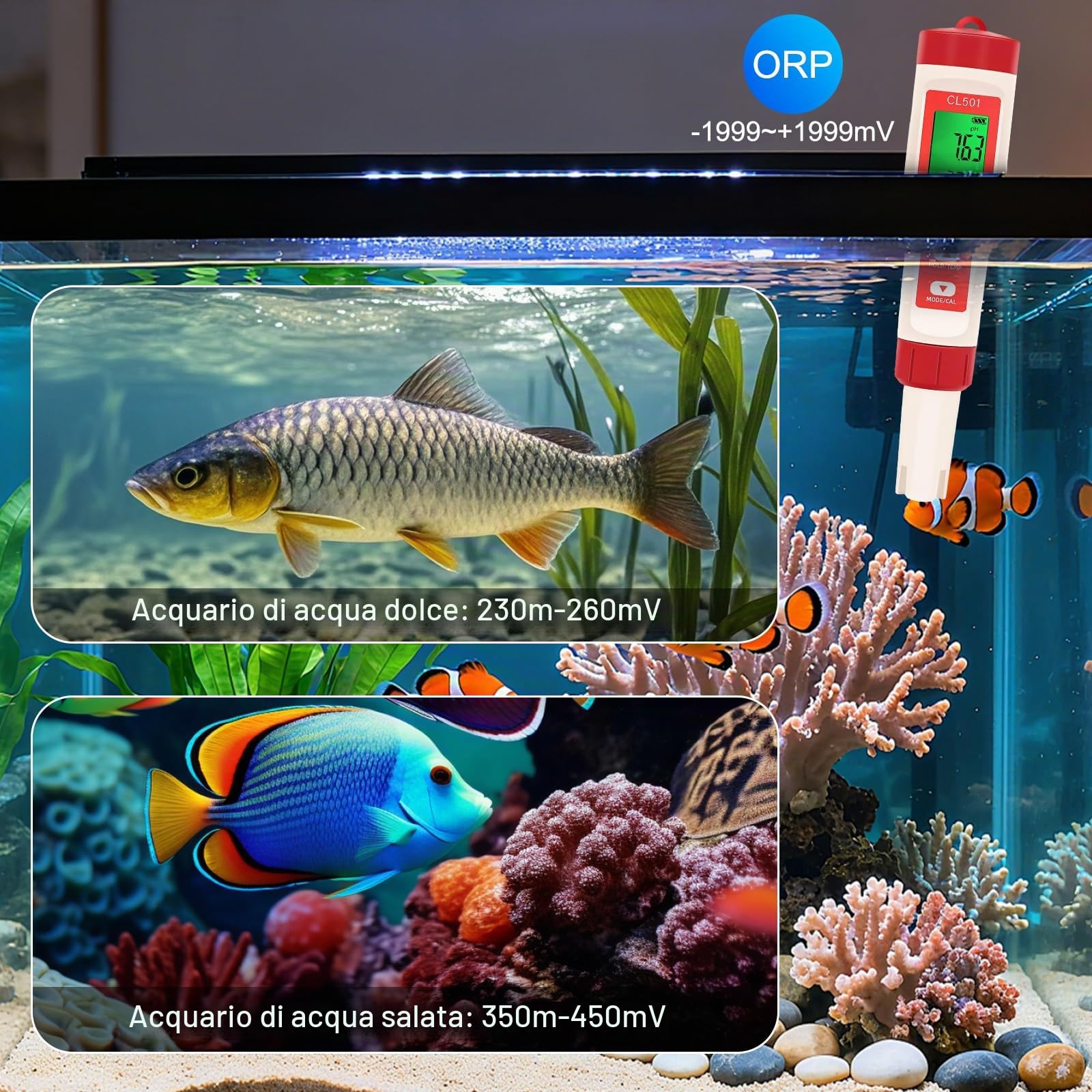Misuratore pH e Cloro per Piscine, Test Piscina pH e Cloro 5 in 1 | Misura pH, Cloro, ORP, H2 e Temperatura, Analizzatore d'acqua per Piscine, Idroponica, Acquari e Acqua Potabile