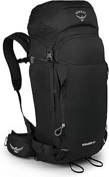 Amazon.co.jp: OSPREY(オスプレー) SOELDEN 42 ソールデン42 OS52419