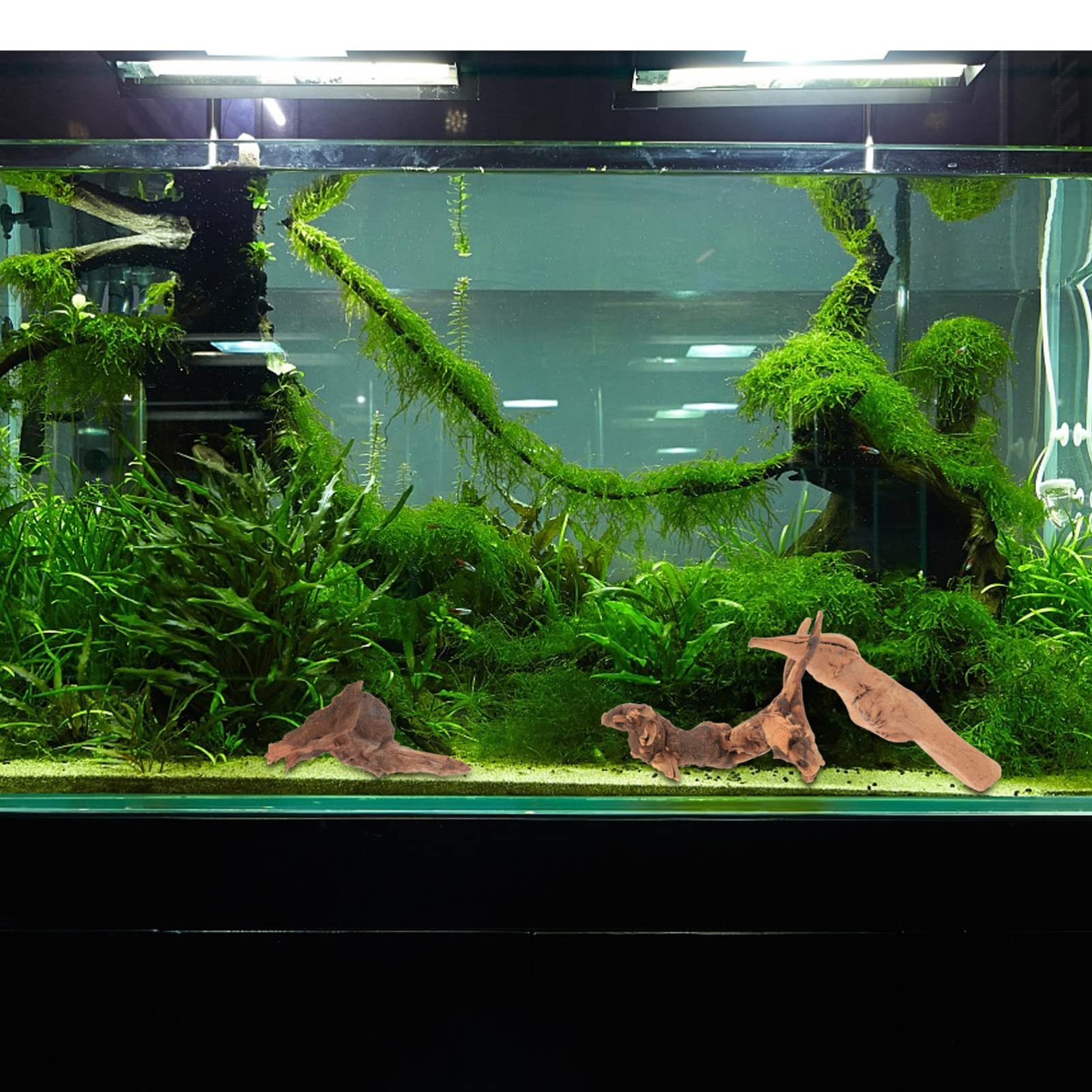 BESPORTBLE 5 Juegos Pecera Paisajismo Madera Hundida Adorno De Madera A La Decoración De Terrario Decoración De Reptiles De A La Decoraciones De Peceras Aire 3 Piezas * 5