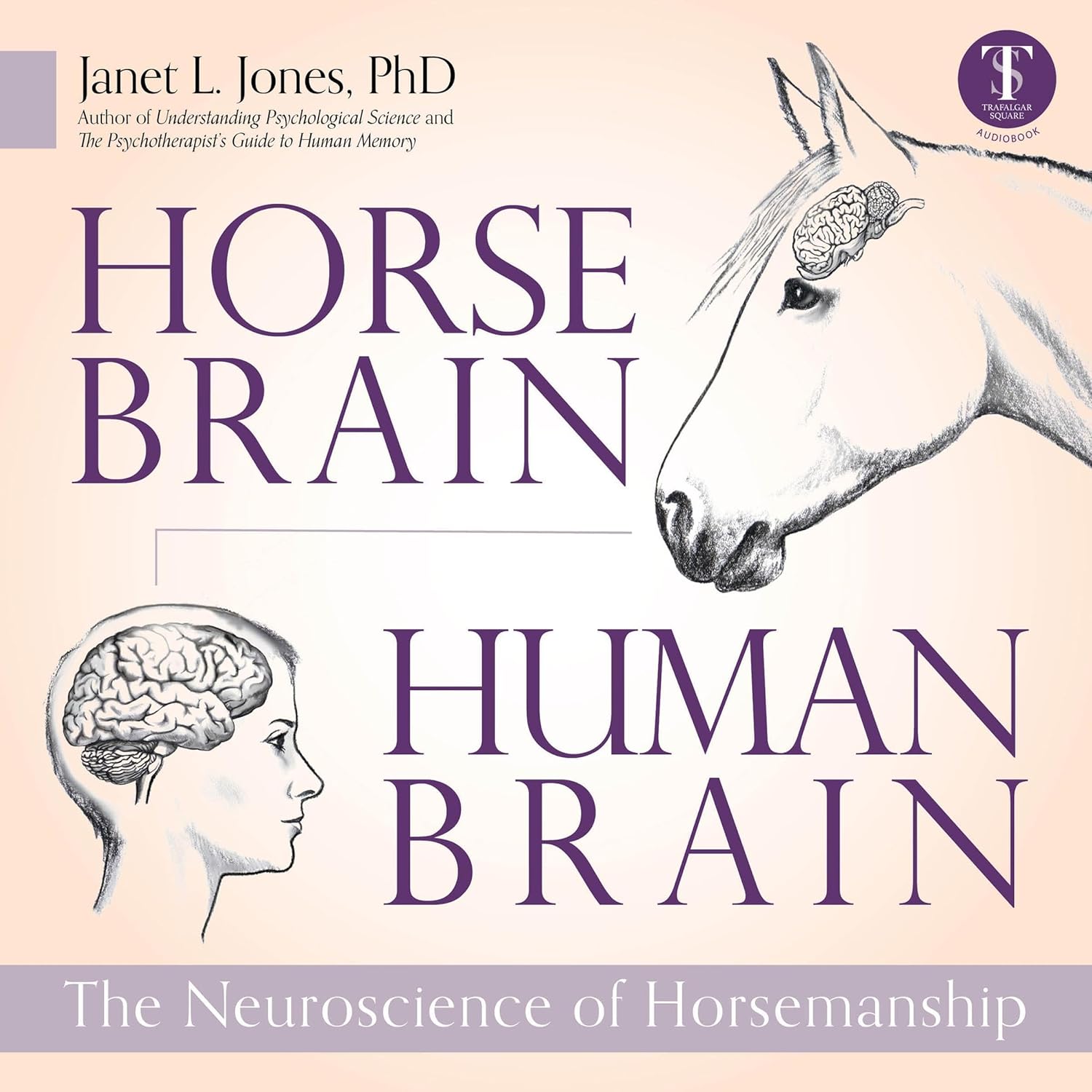 Horse Brain, Human Brain: The Neuroscience of Horsemanship