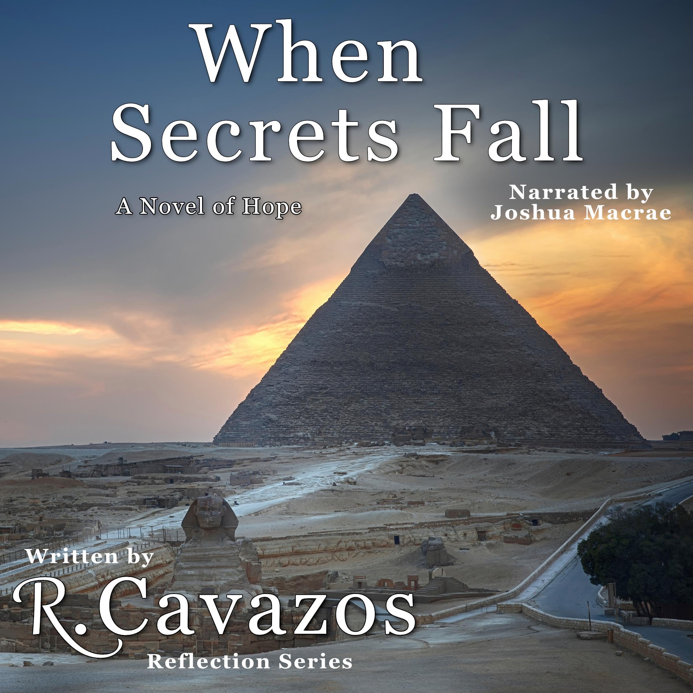 Cover art for When Secrets Fall