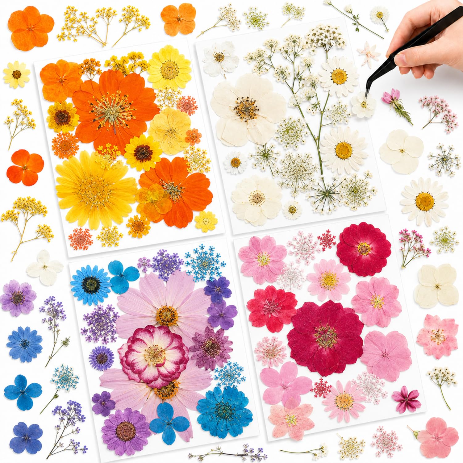 Nuanchu Natural Large Dried Pressed Flowers for Craft Resin DIY