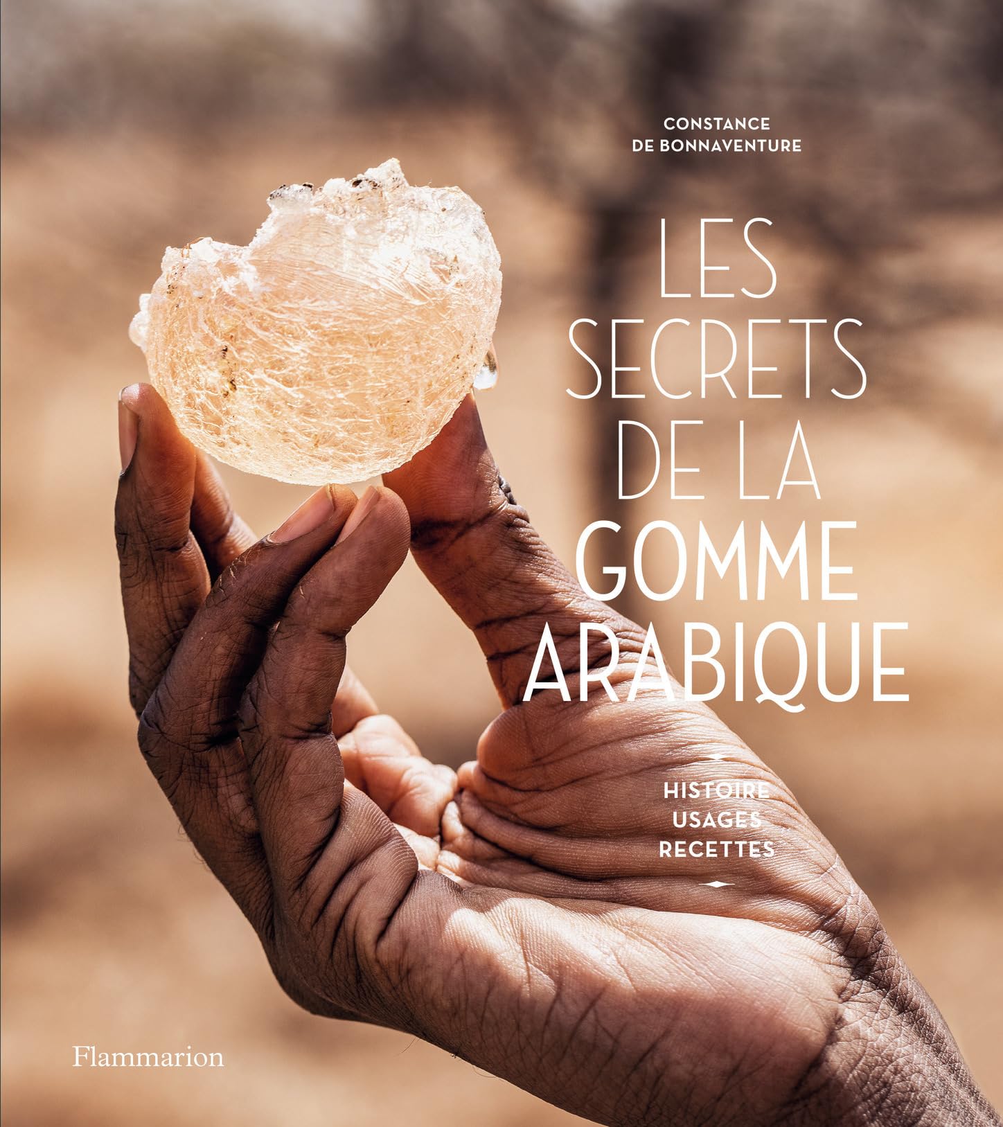 Les secrets de la gomme arabique: Histoire, usages et recettes