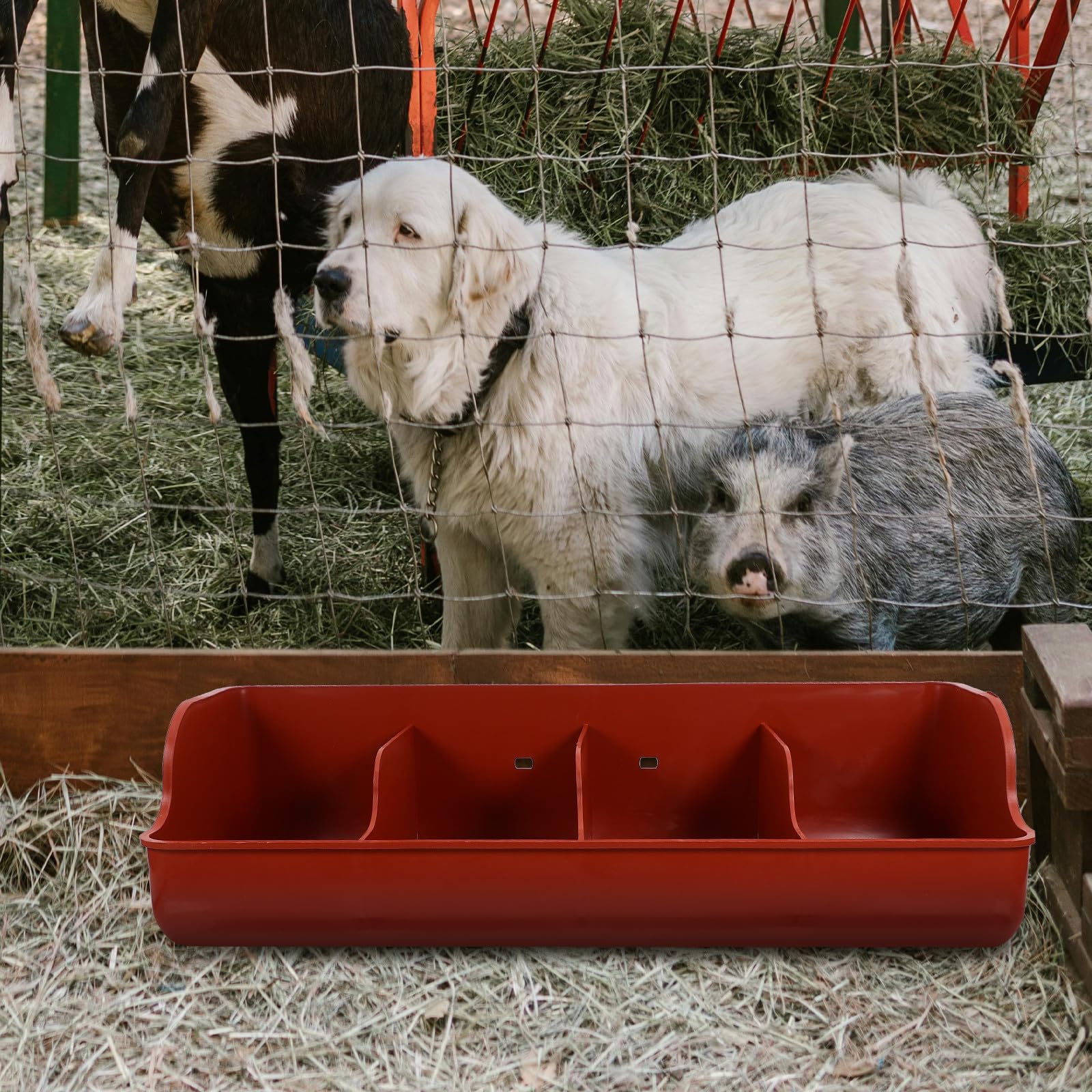 Mangeoire à Cochons à 4 Compartiments, Plastique Résistant à L’usure Chocs, pour Élevage de Ferme, Multi-fentes