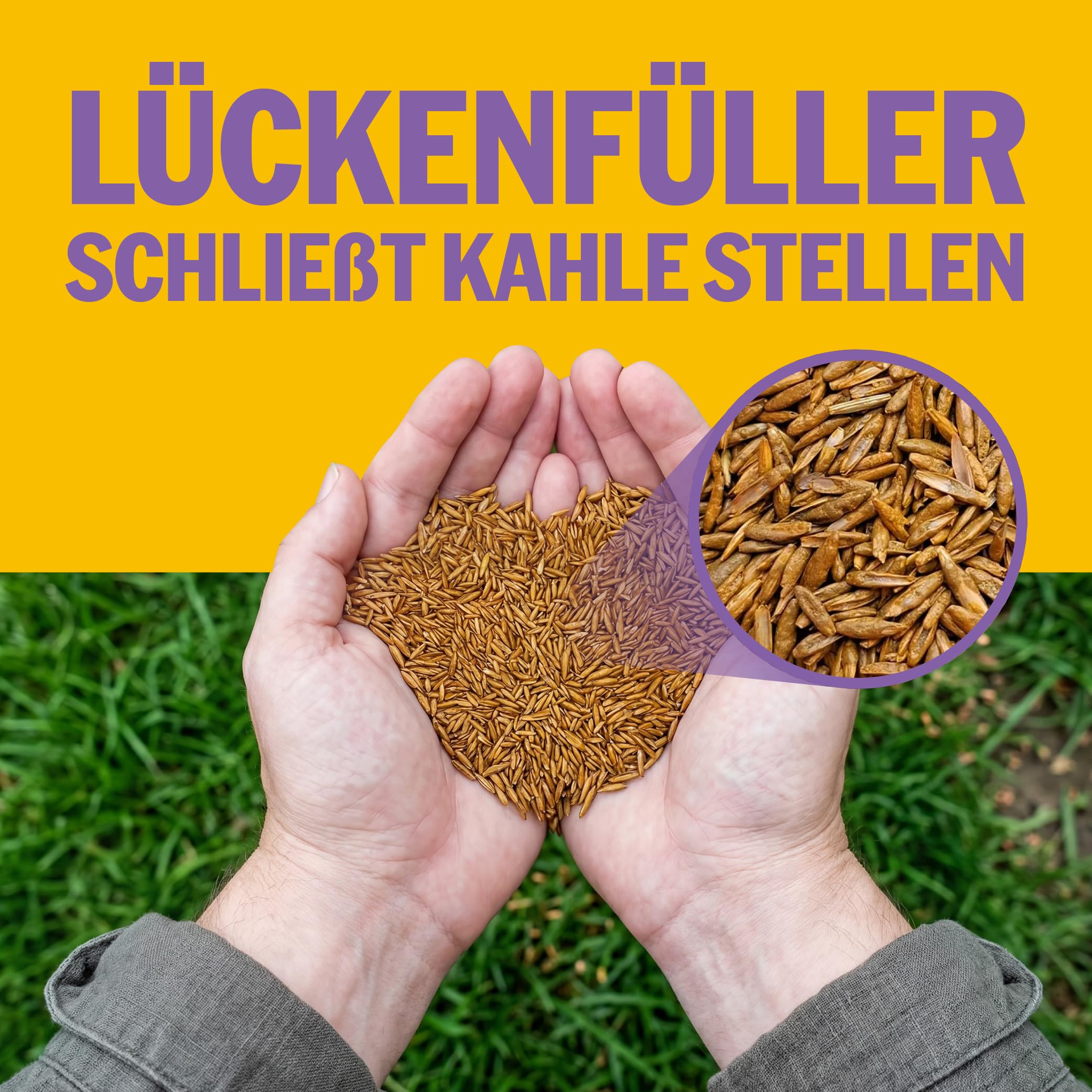 SUPERGREEN Nachsaatrasen Rasensamen | 5 kg für 500m² | Premium Nachsaat für dichten, sattgrünen Rasen | Schließt Lücken schnell & regeneriert Flächen | RSM Qualität & Mantelsaat® Vital