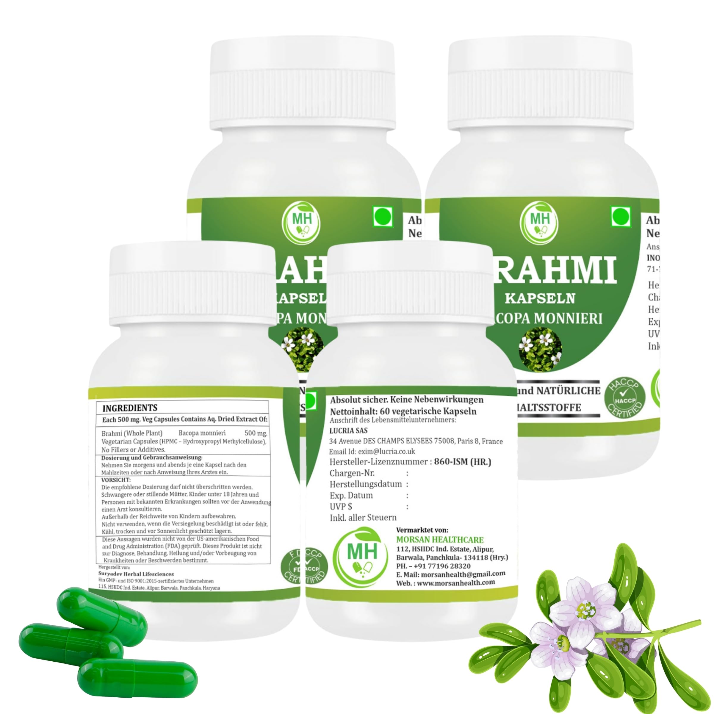Brahmi (Bacopa monnieri) 500 mg, 240 Capsule Vegane, Confezione da 4, Integratore Alimentare Naturale a Base di Erbe, Puro e Naturale, Senza Additivi
