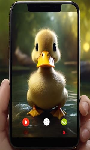 Incoming Video Call from Duck - EVIL Call Prank | NO ADS