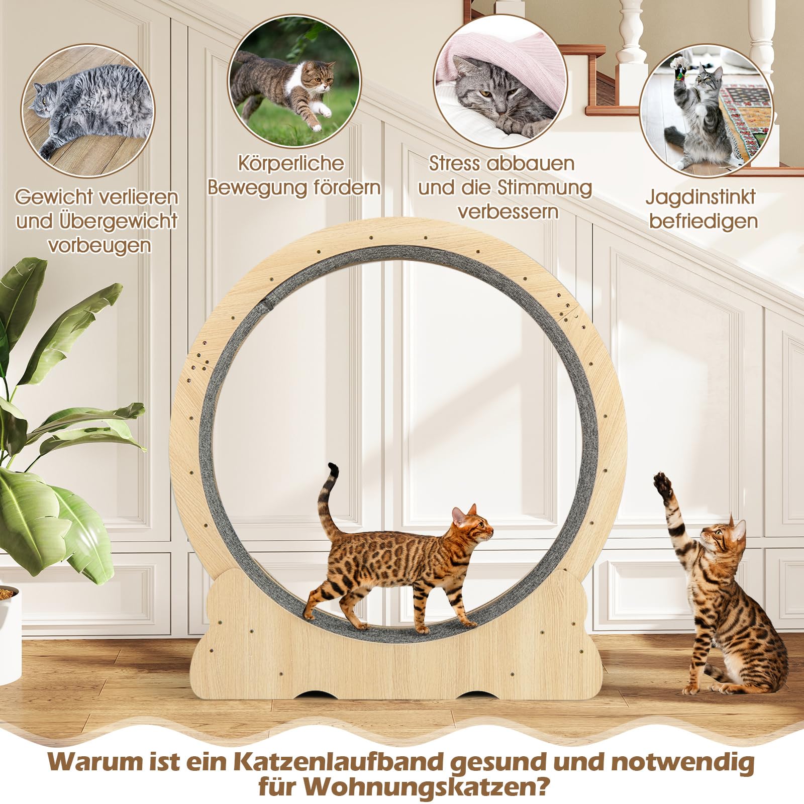 COSTWAY Katzenlaufrad, 101 cm Innendurchmesser, Laufrad Katzen mit abschließbarem Mechanismus & Kratzmatte, Ultra-leiser, Katzenrad Trainingsrad, für große Katzen bis 20 kg, Holz, Natur