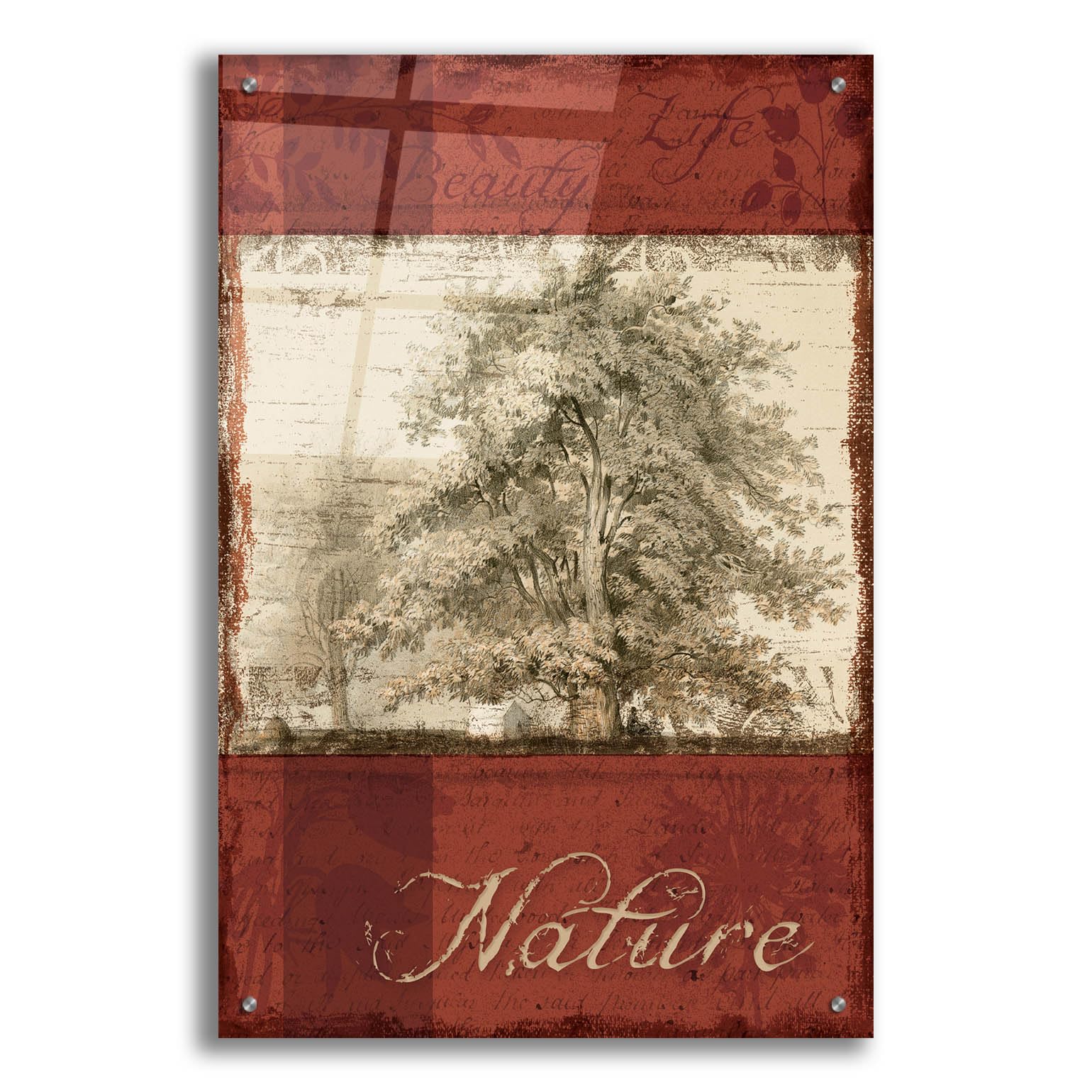 Epic ArtNatural Thoughts I' by NBL Studio, Acrylic Glass Wall Art, 24"x36"