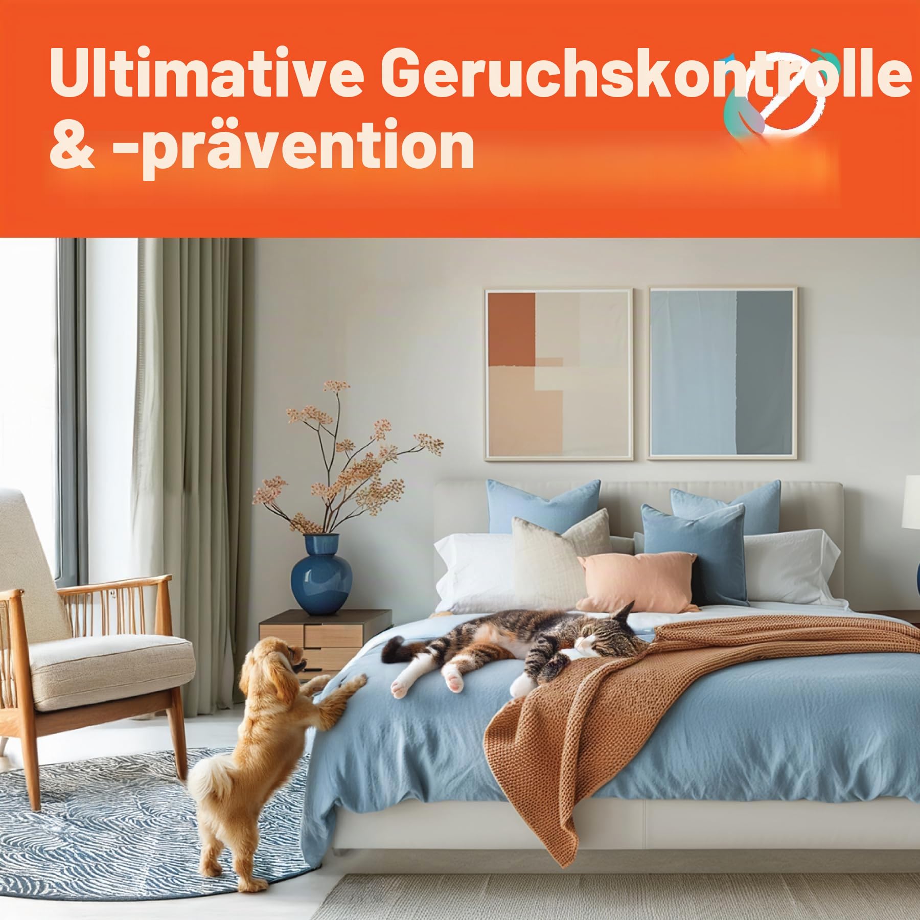 Dirtbusters 3 in1Teppichreiniger & Polsterreiniger Konzentrat für alle Teppichböden und Polster, reinigt & desodoriert - Teppichshampoo Geeignet für alle Waschsauger, Orange frisch 1 x 5 Liter