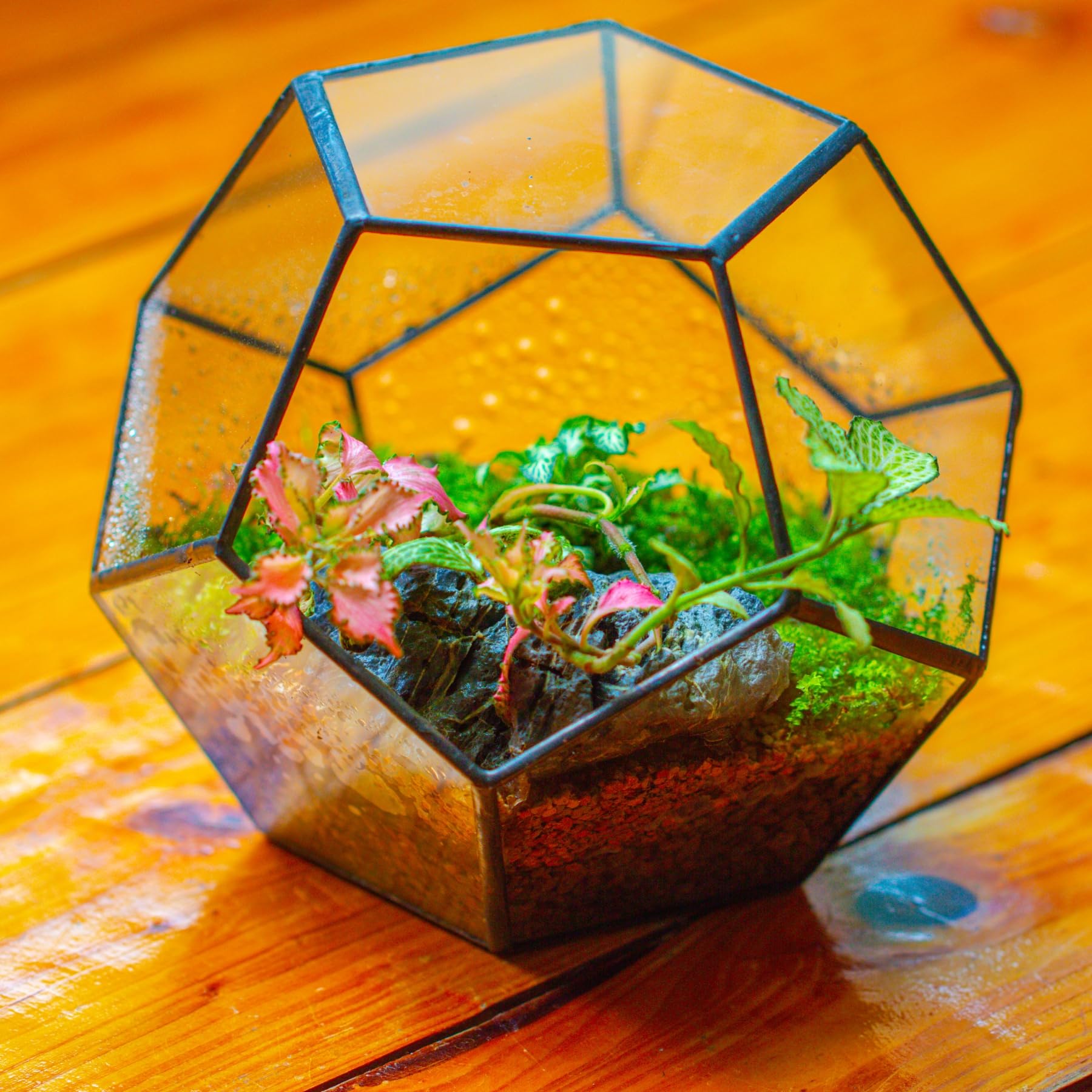NCYP Handgemaakte, grote, onregelmatig, veelvlakke, geometrische glazen terrarium voor vetplanten - bloempot/bloempot voor vensterbank, balkon, tafelblad - 28 cm (zonder planten