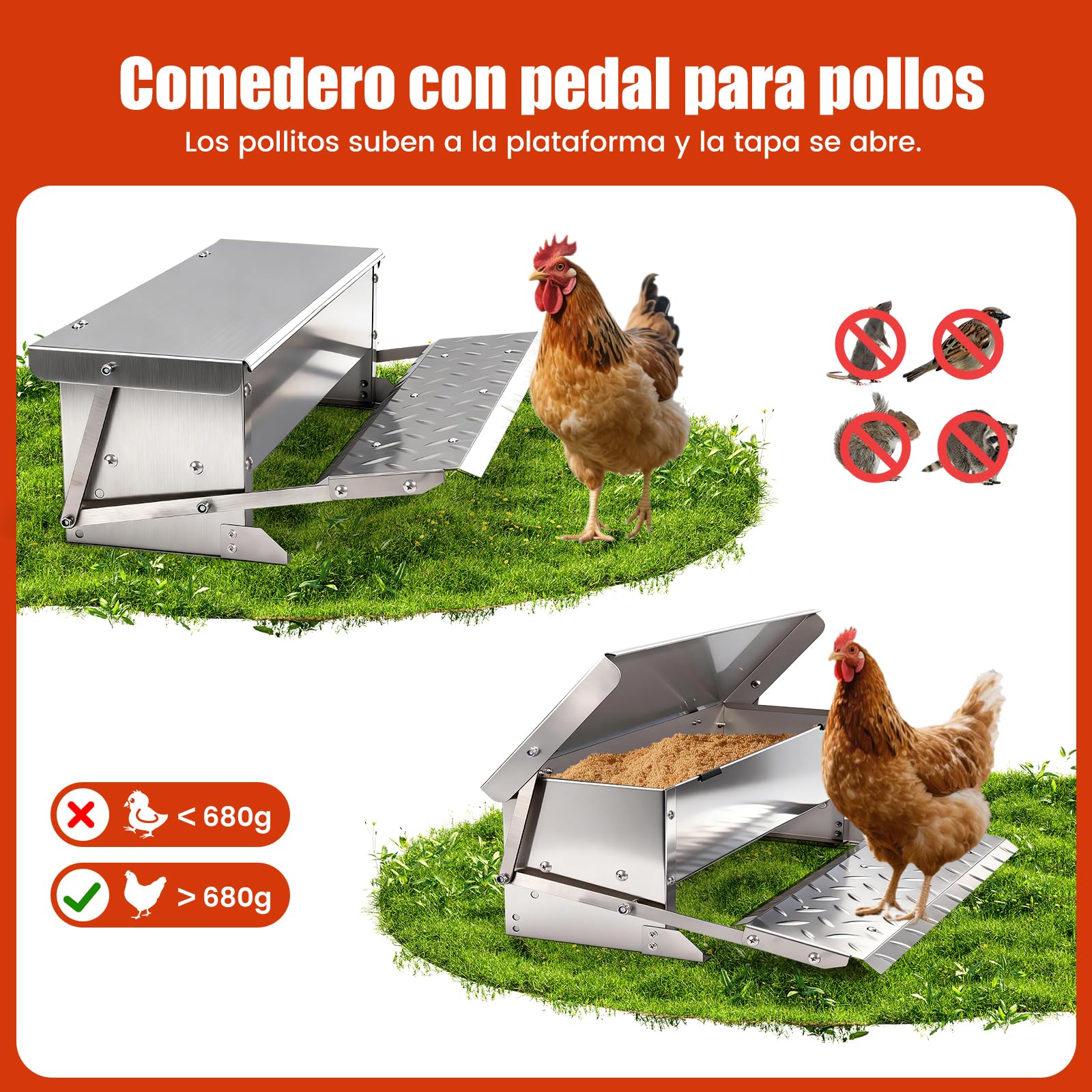 Comedero de Pedal para Pollos 5kg Metálico, Alimentador Anti Desperdicio A Prueba de Roedores con Tapa Resistente a la Intemperie para Gallinas Enanas y Faisanes