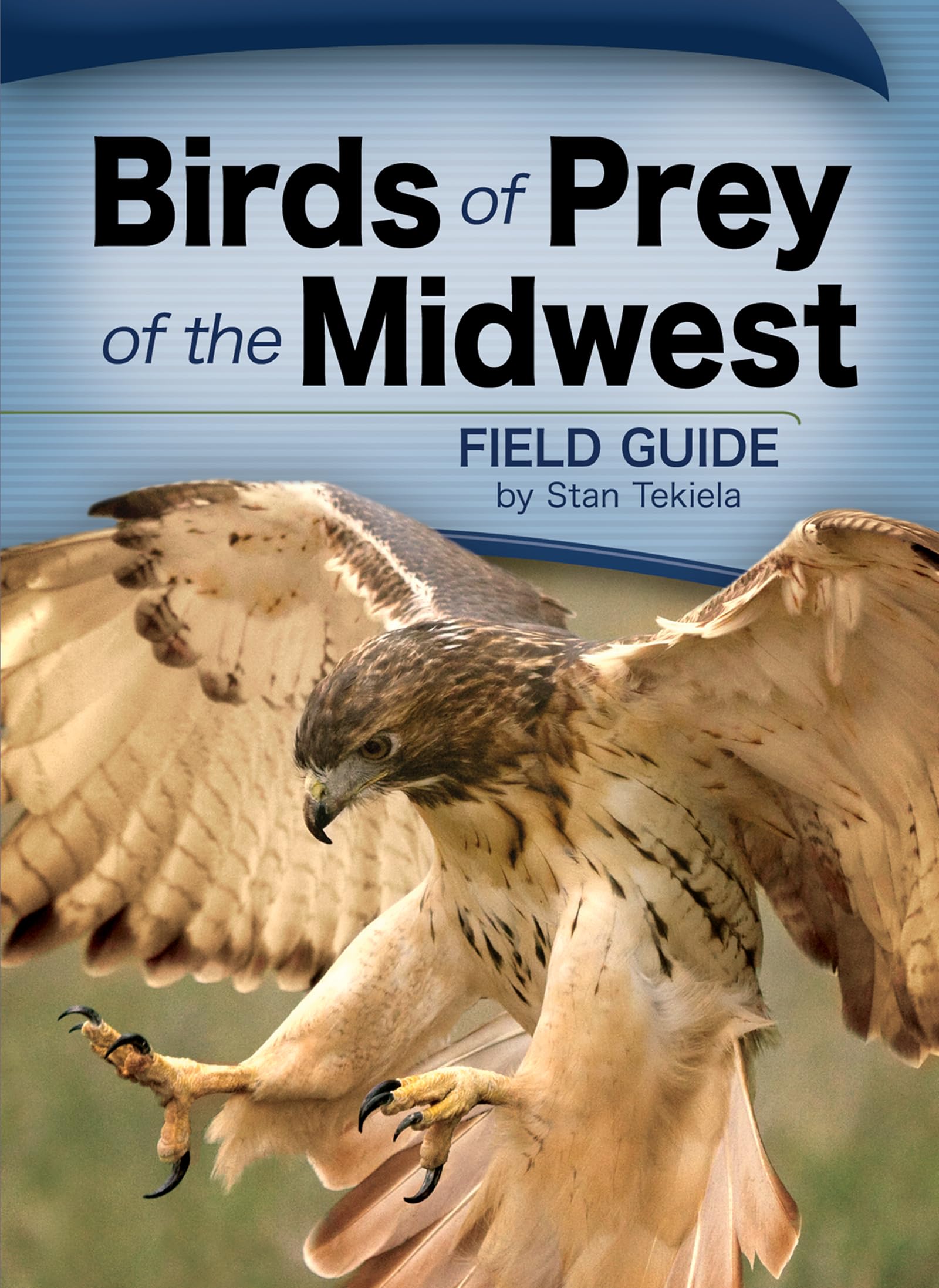 Birds of Prey of the Midwest Field Guide (Bird Identification Guides)