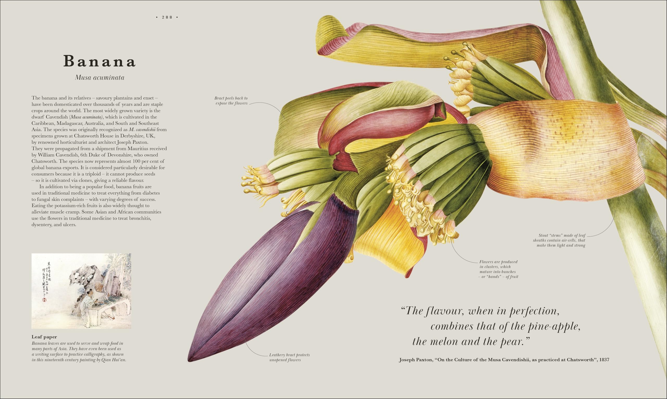 Atlas of Botany: An Exploration of Plants Across Time and Around the World