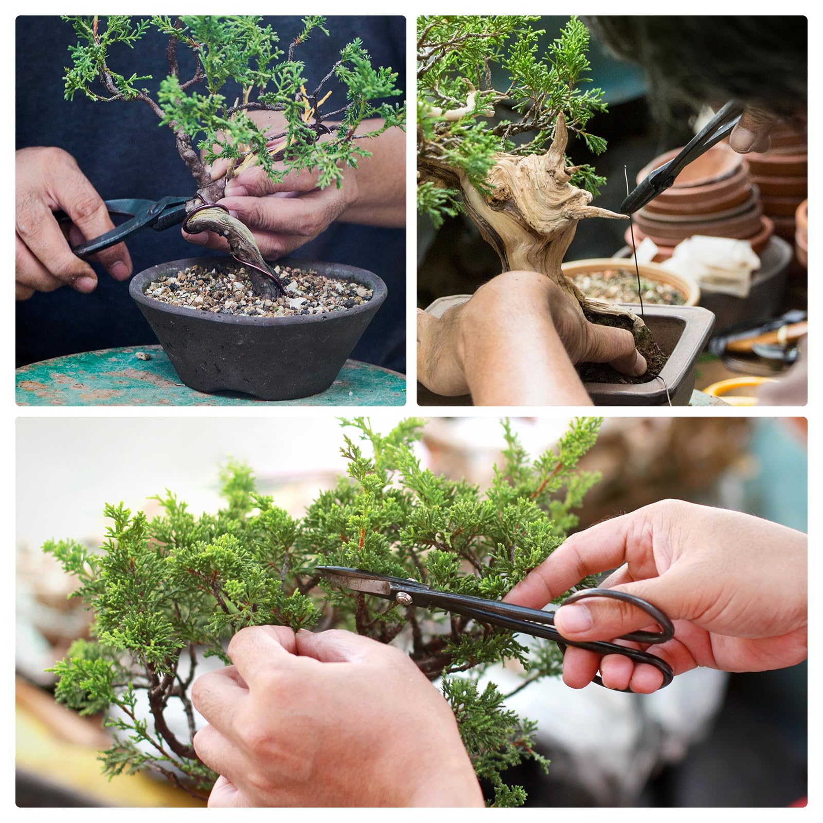 QUARKZMAN Alicates Jin para Bonsái de 8.7 pulgadas 220mm Herramienta de Bonsái Alicates de Alambre Cortador de Ramas Podadora de Jardinería para Cortar Ramas, Plata
