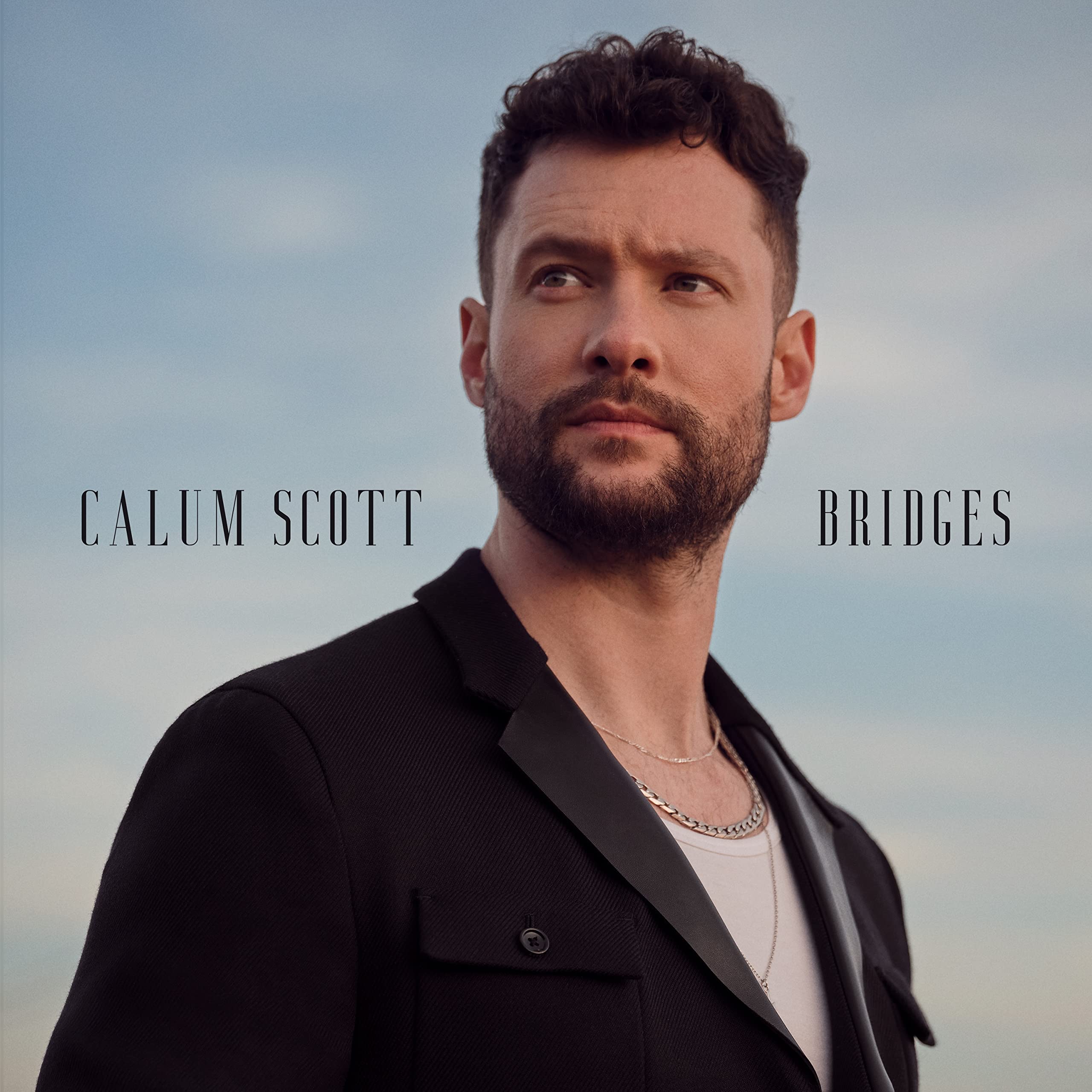 Bridges [VINYL]