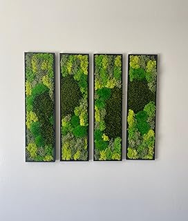 Moss Wall Art | Preserved Moss Art Framed | Moss Wall Decor | Moss Wall Sets | Rectangle Single to Six Set | Green Reindeer Moss Pole Moss (Black, Set Of Four)