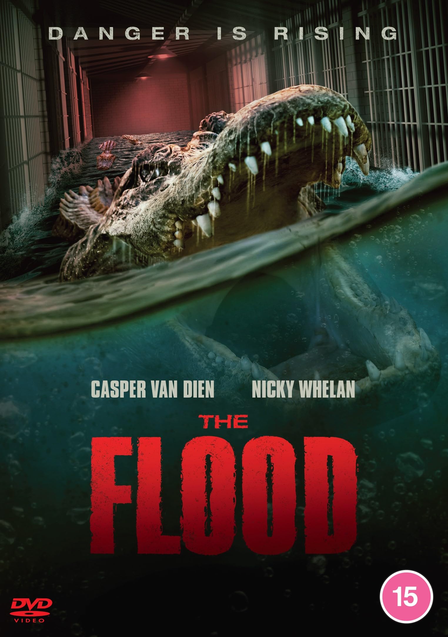 Flood [DVD]: Amazon.co.uk: Nicky Whelan, Casper Van Dien, Louis