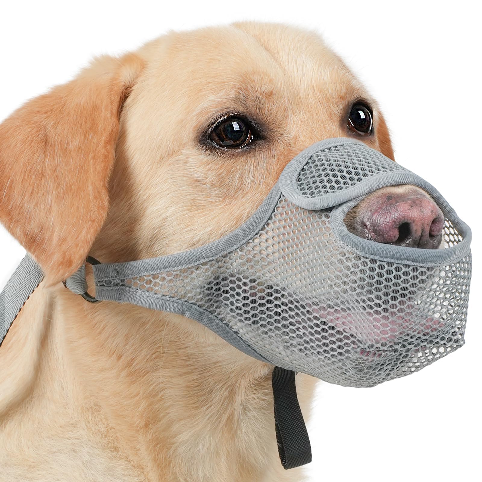 SHUOHONG Hunde Maulkorb, Nylon-Mesh, Atmungsaktiv und Bequem, Maulkorb für Große Hunde mit Verstellbaren Trägern (Grau-XXL)