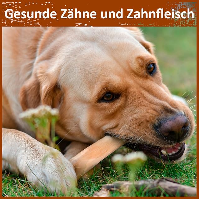Foto 3 de 8 de PRINZEPS Madera de café para perros - Masticar madera para perros - Juguete masticable para perros